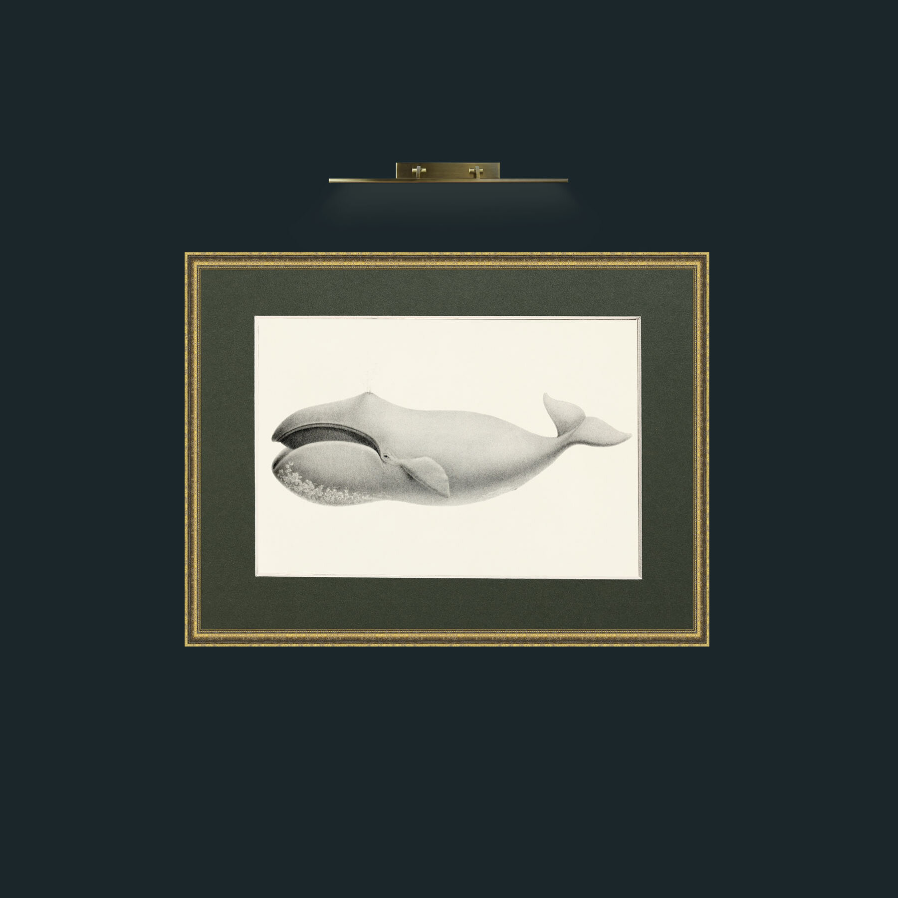 Art-Bowhead Whale-Frame-1TexturedGilt-Mount-2Green.jpg
