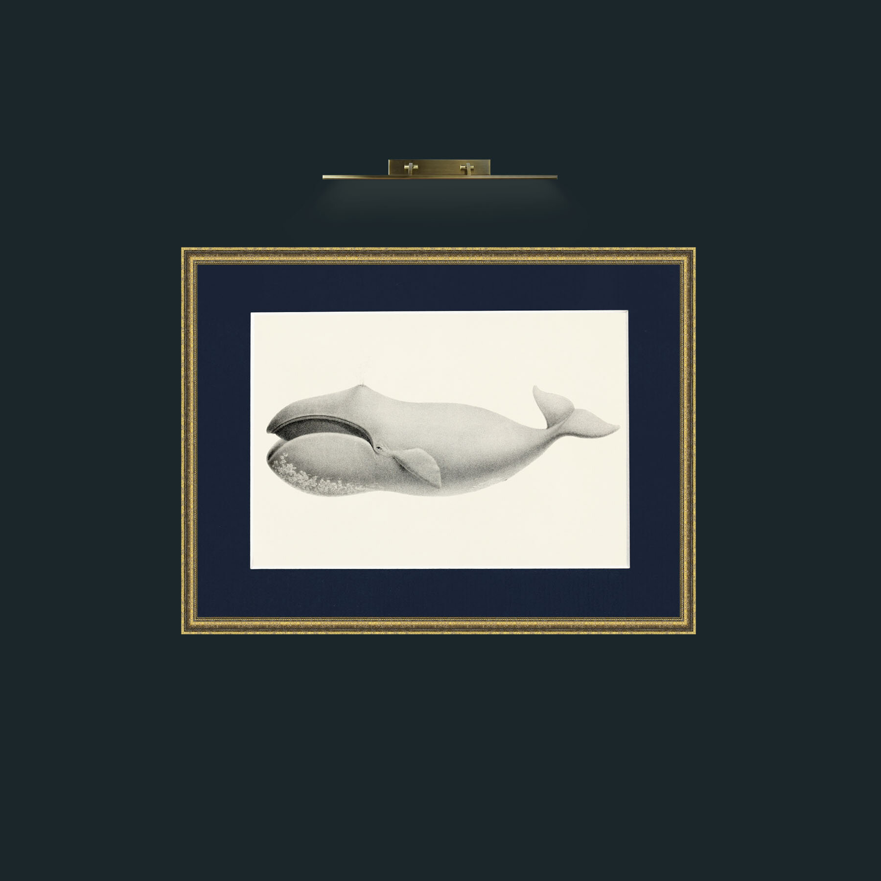 Art-Bowhead Whale-Frame-1TexturedGilt-Mount-3Blue.jpg
