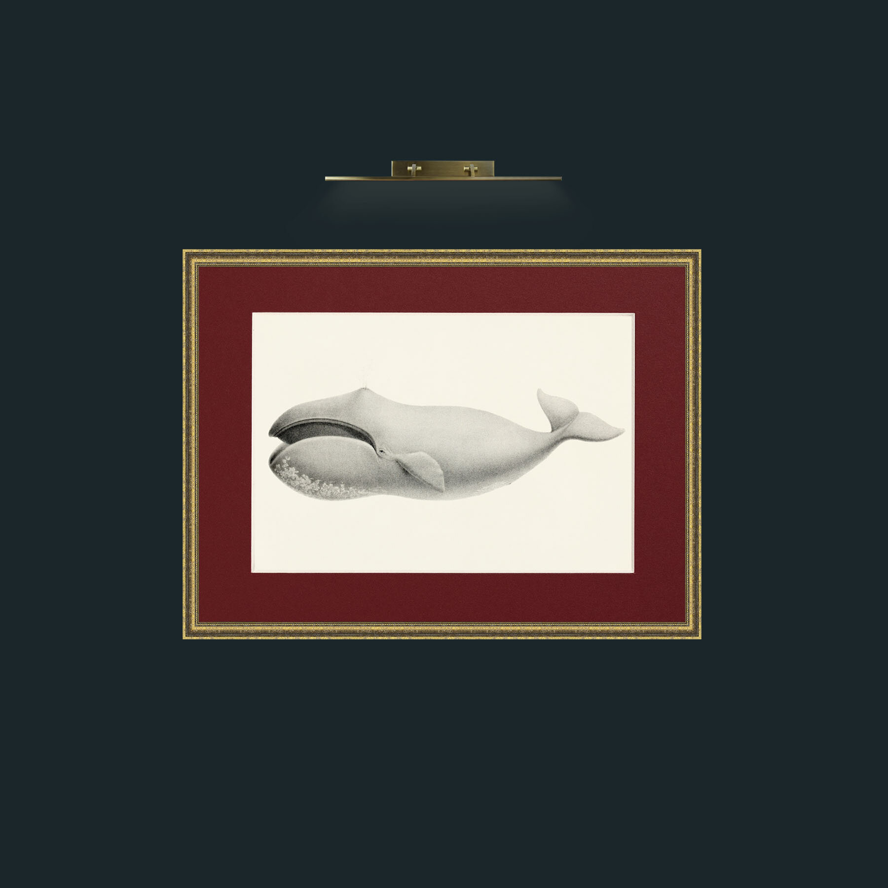 Art-Bowhead Whale-Frame-1TexturedGilt-Mount-4Red.jpg