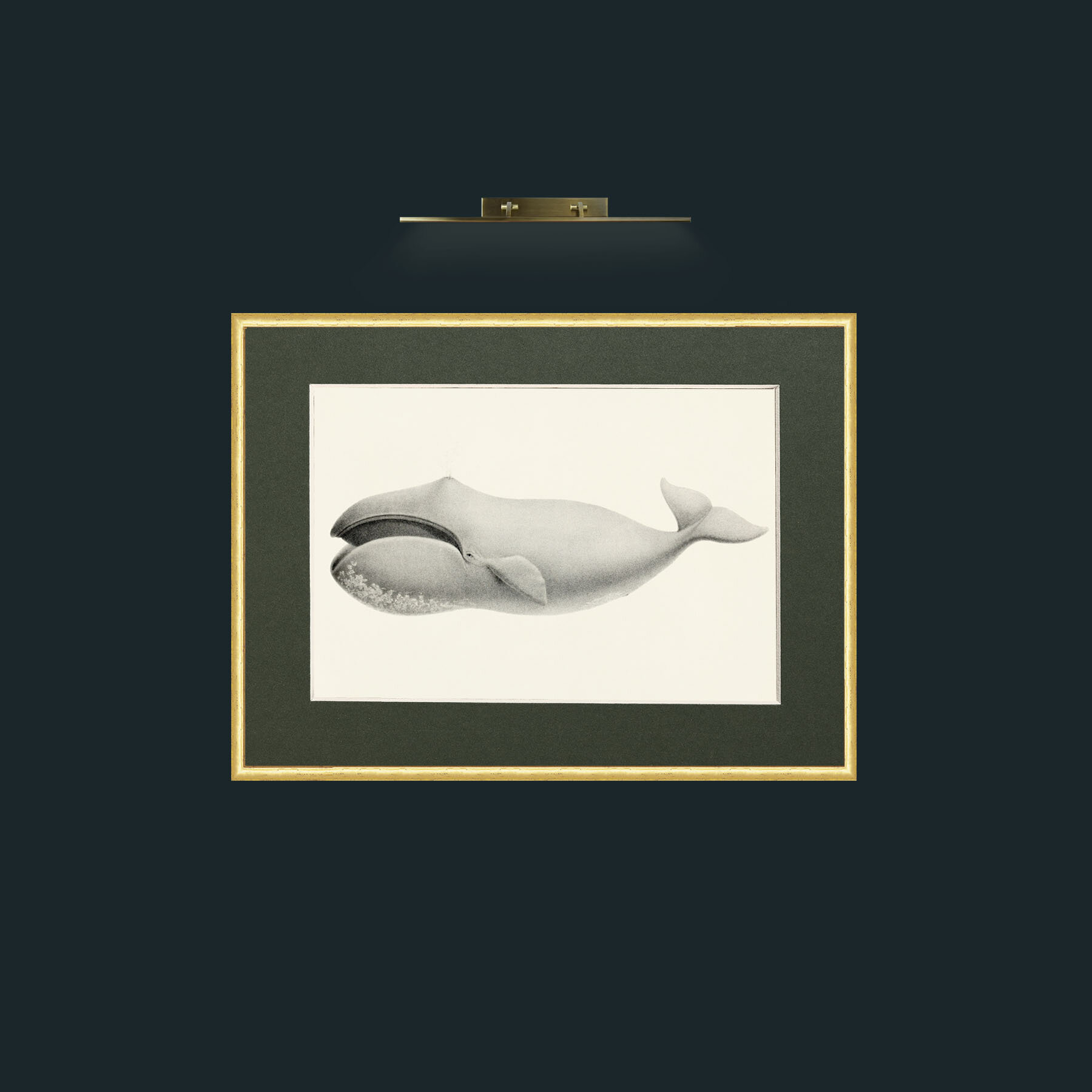 Art-Bowhead Whale-Frame-3RoundedGilt-Mount-2Green.jpg