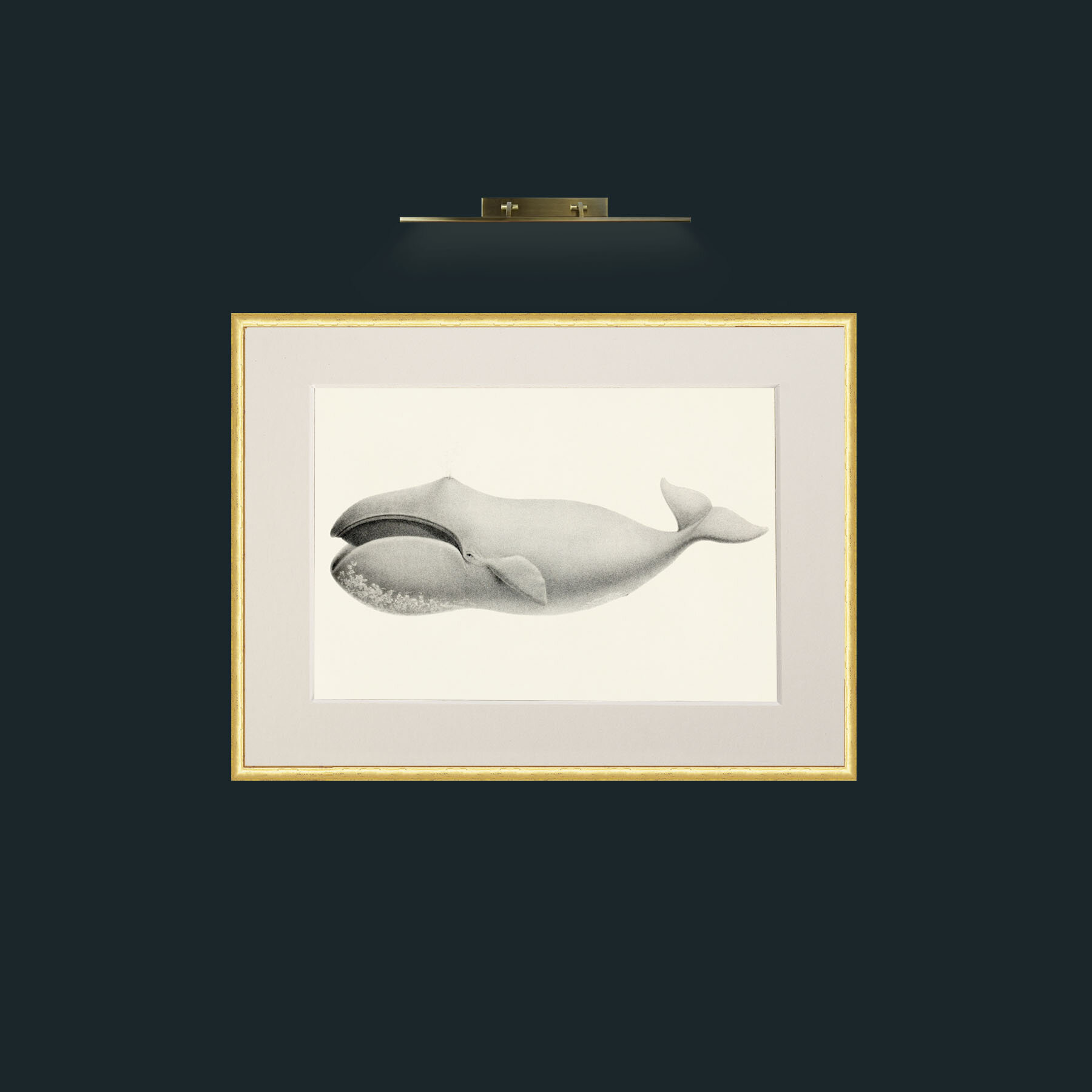 Art-Bowhead Whale-Frame-3RoundedGilt-Mount-1Antique.jpg
