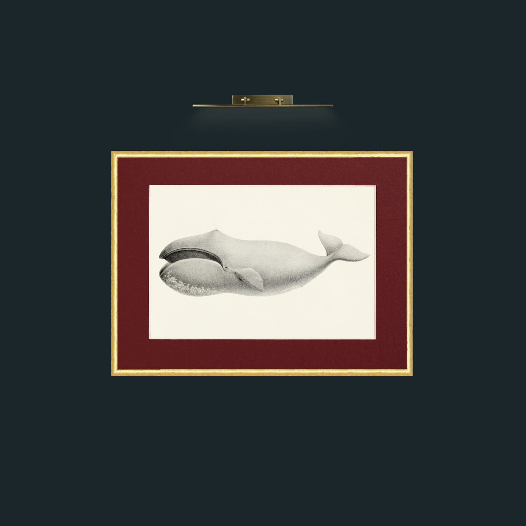 Art-Bowhead Whale-Frame-3RoundedGilt-Mount-4Red.jpg