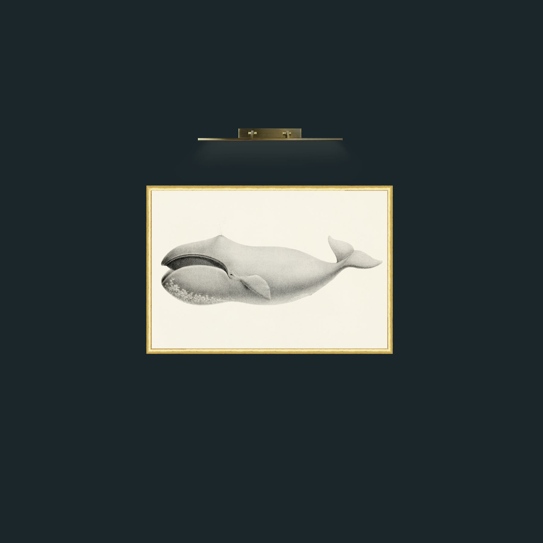 Art-Bowhead Whale-Frame-3RoundedGilt.jpg