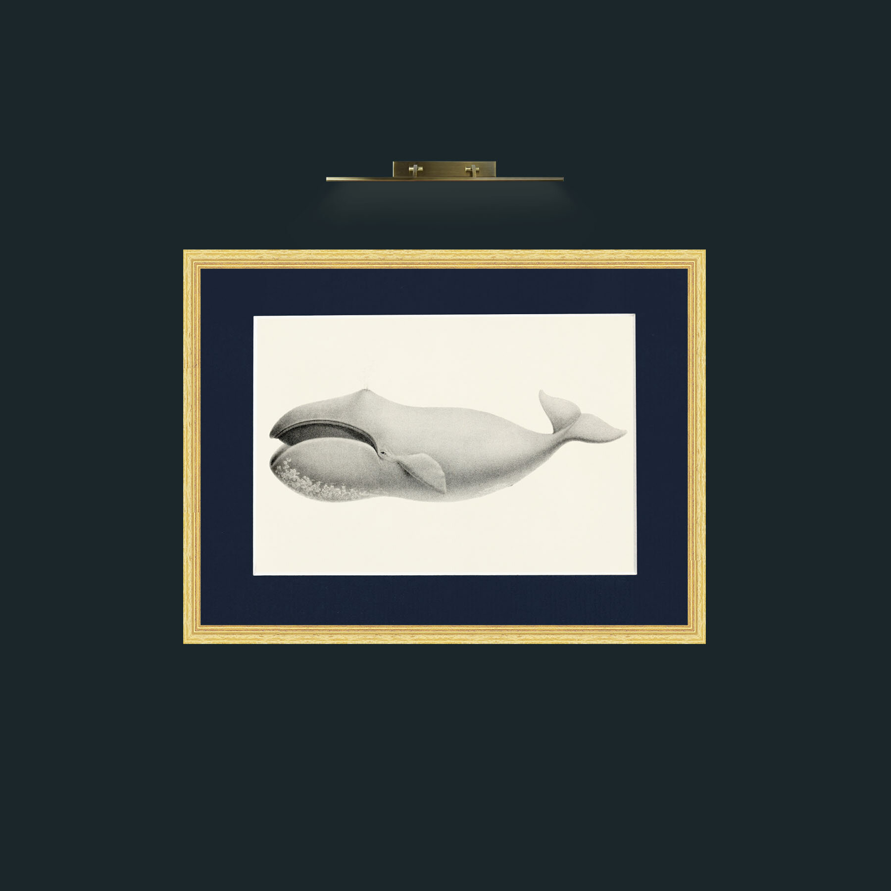Art-Bowhead Whale-Frame-4BevelledGilt-Mount-3Blue.jpg