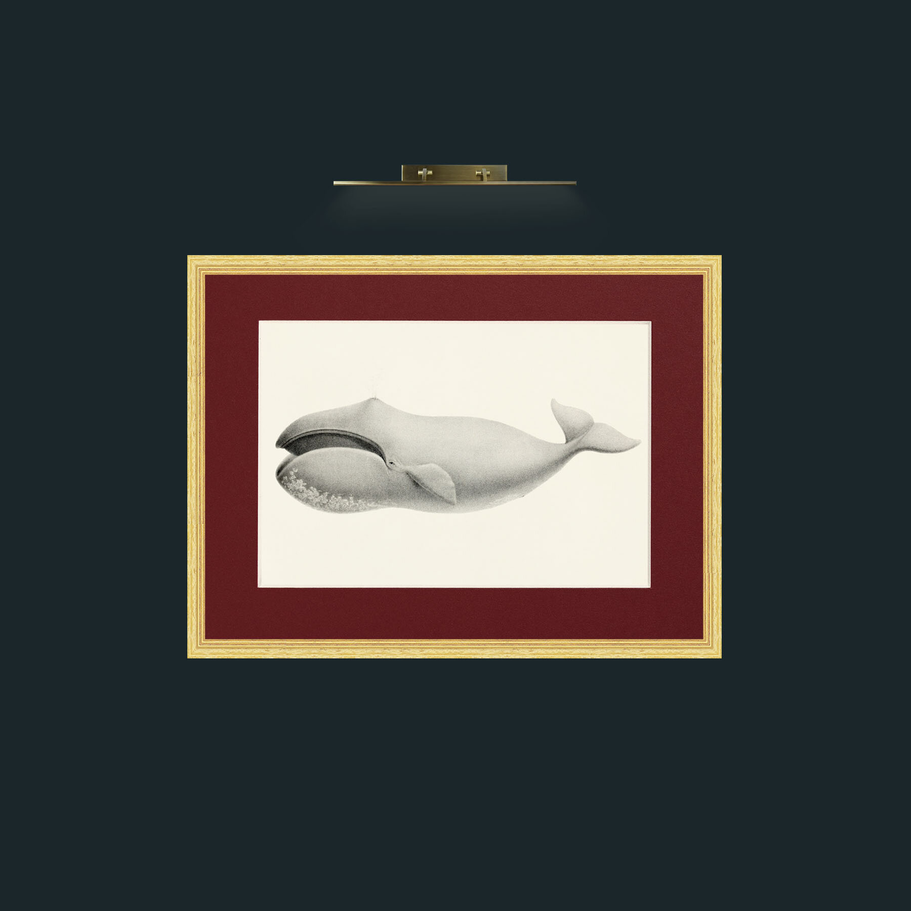 Art-Bowhead Whale-Frame-4BevelledGilt-Mount-4Red.jpg