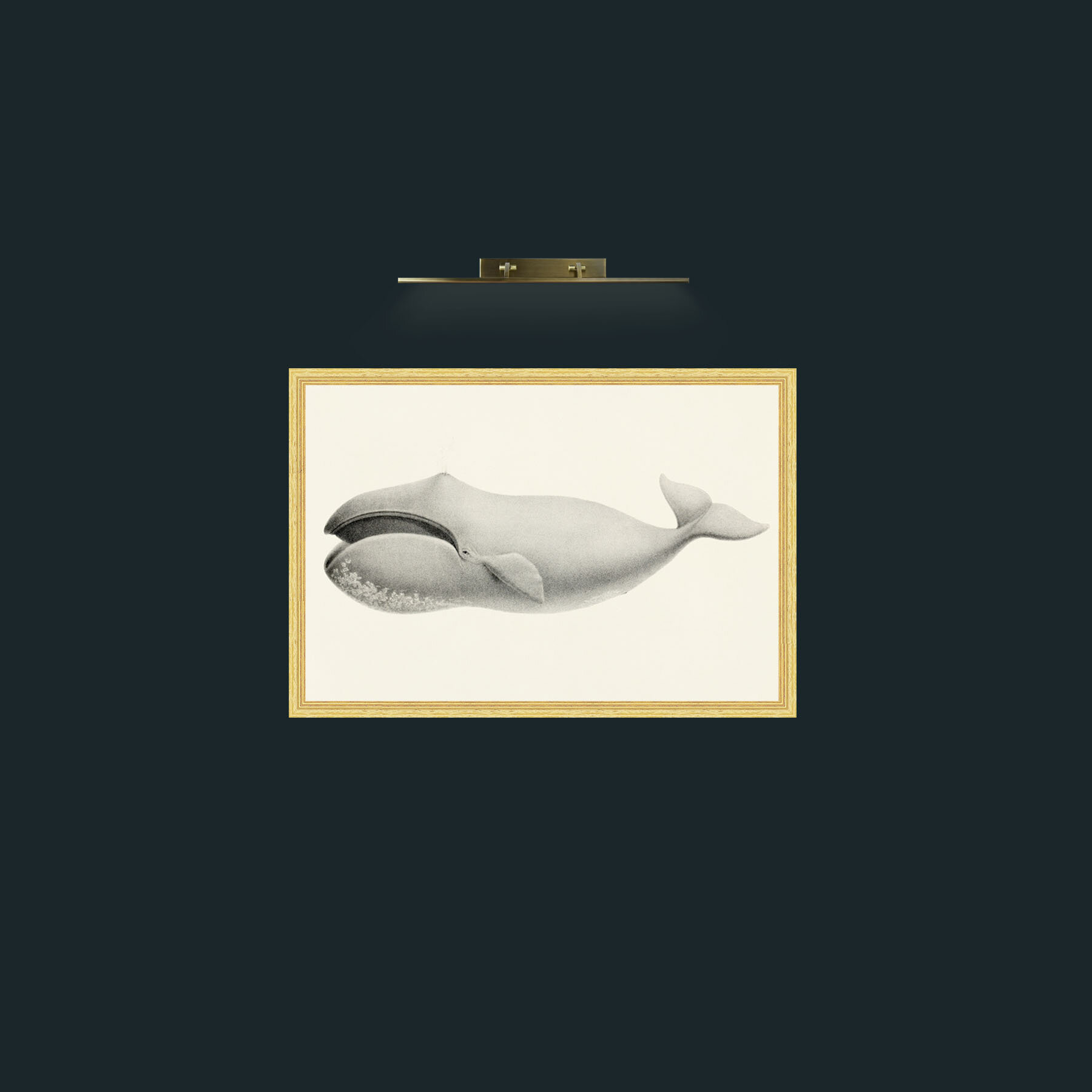 Art-Bowhead Whale-Frame-4BevelledGilt.jpg