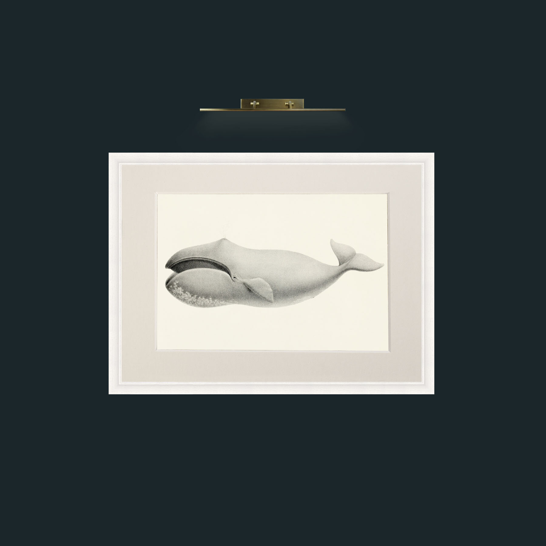 Art-Bowhead Whale-Frame-5White-Mount-1Antique.jpg