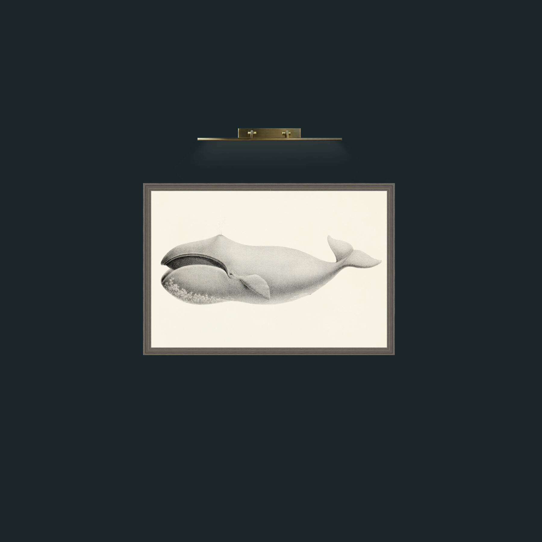 Art-Bowhead Whale-Frame-6Grey.jpg