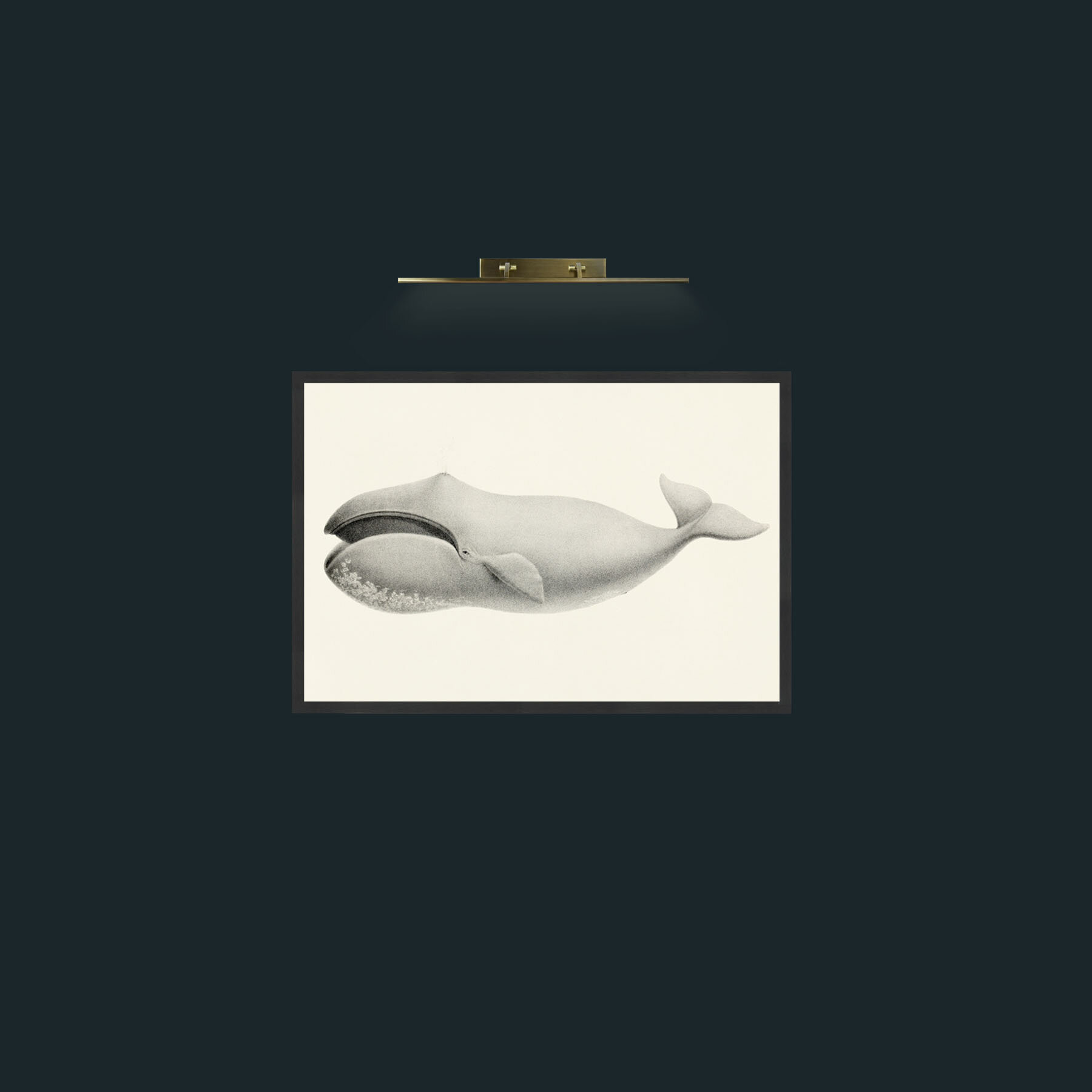 Art-Bowhead Whale-Frame-7Black.jpg