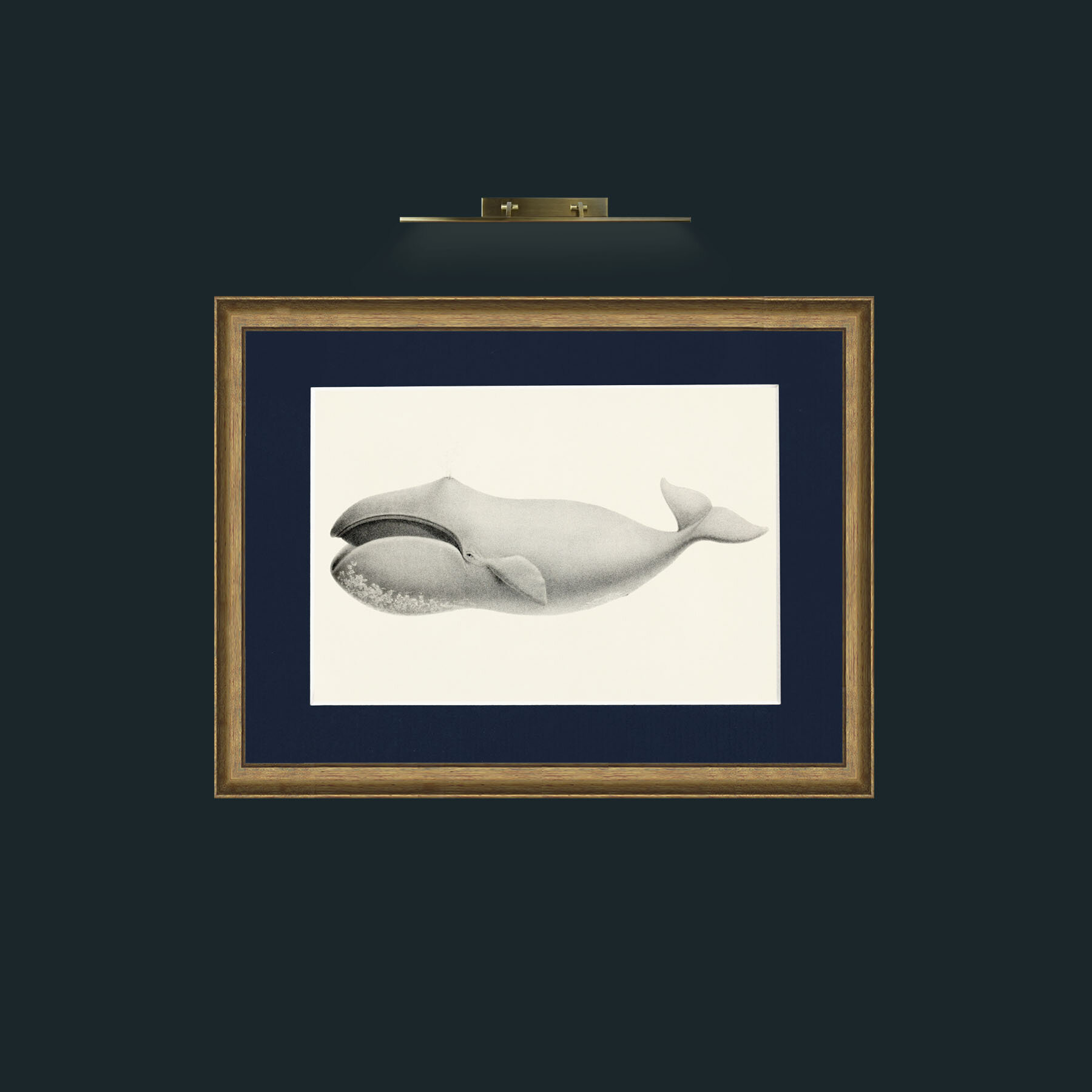 Art-Bowhead Whale-Frame-8AntiqueRedGoldGilt-Mount-3Blue.jpg