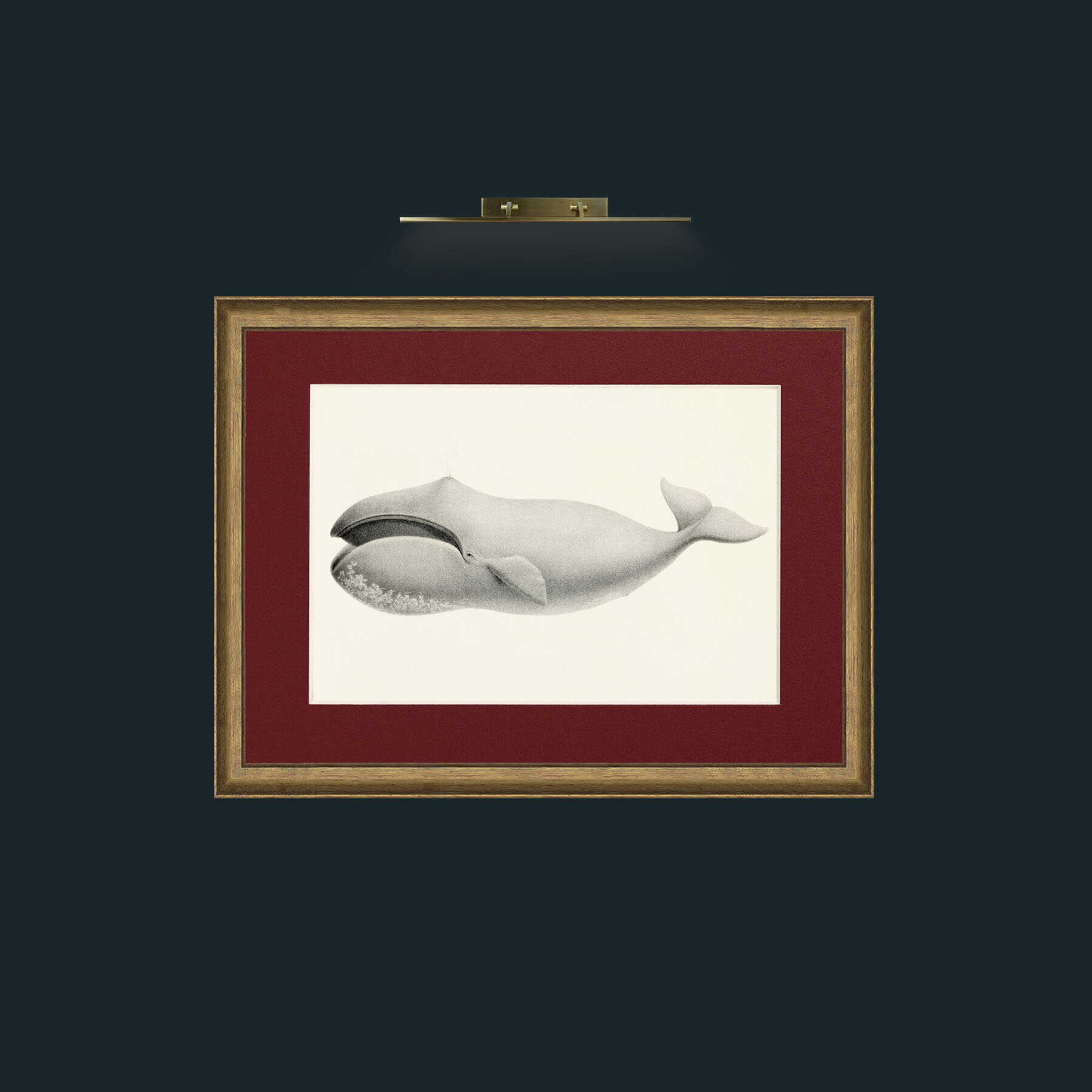 Art-Bowhead Whale-Frame-8AntiqueRedGoldGilt-Mount-4Red.jpg