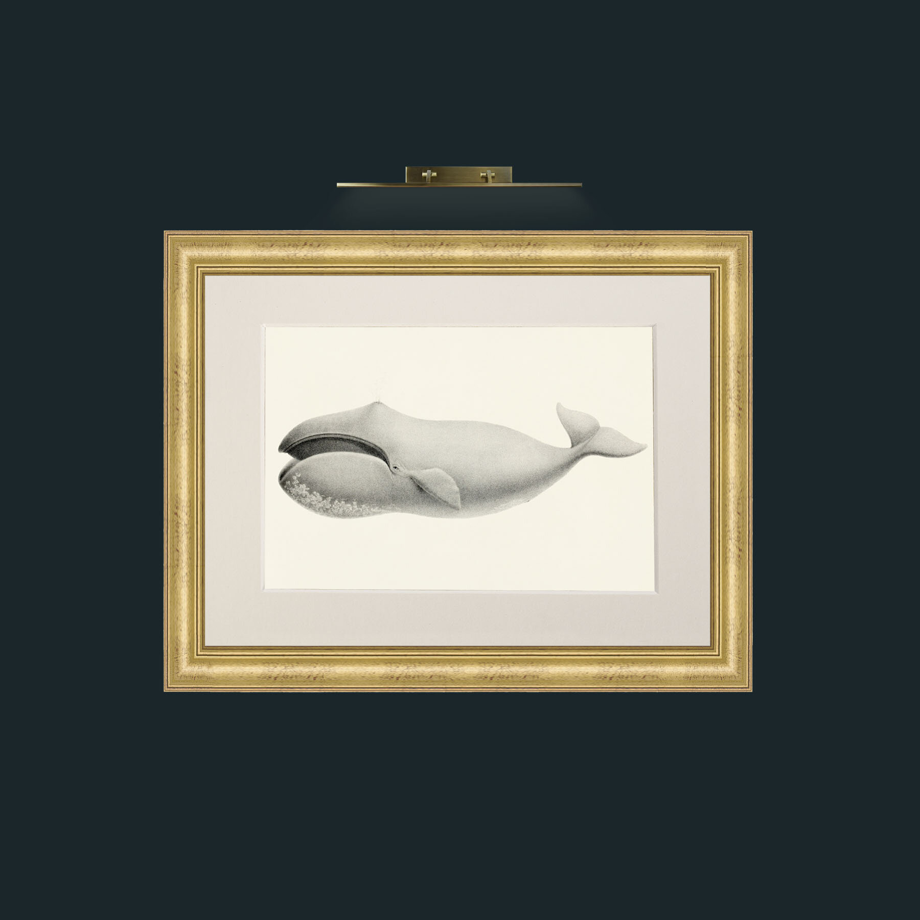 Art-Bowhead Whale-Frame-9WideGilt-Mount-1Antique.jpg