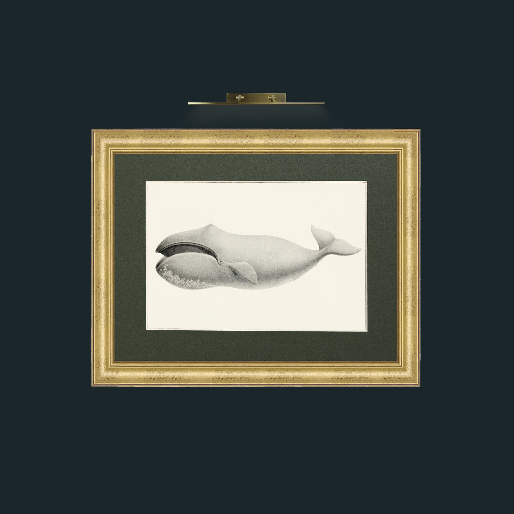 Art-Bowhead Whale-Frame-9WideGilt-Mount-2Green.jpg