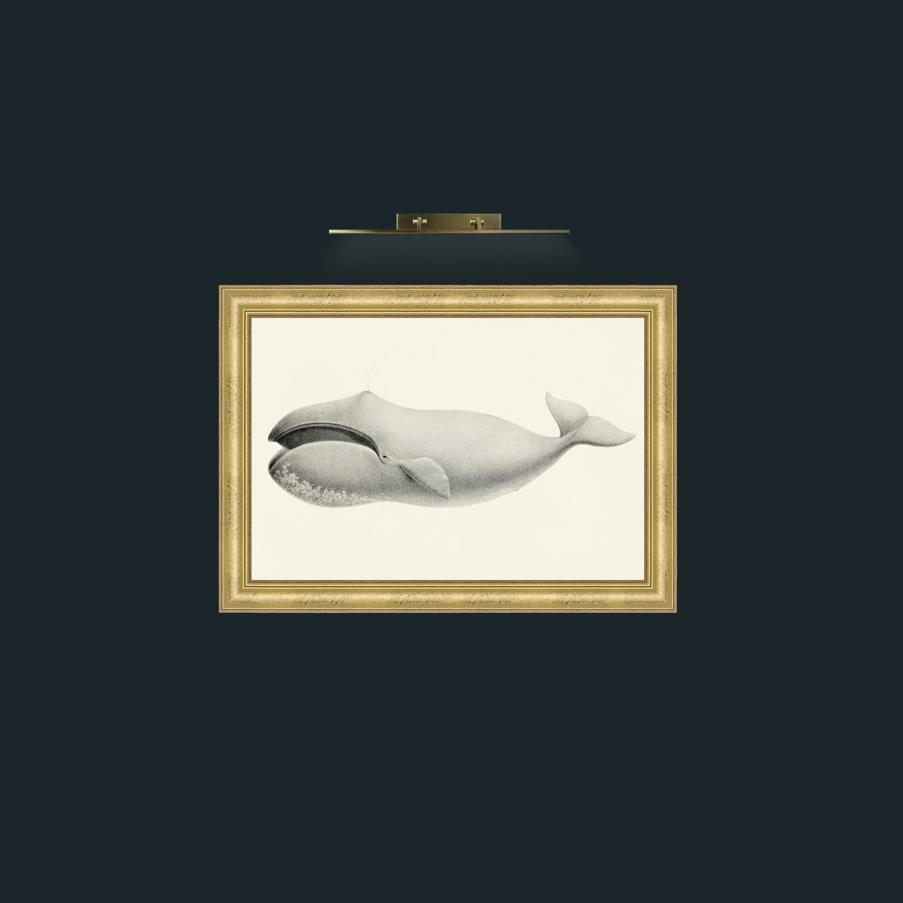Art-Bowhead Whale-Frame-9WideGilt.jpg