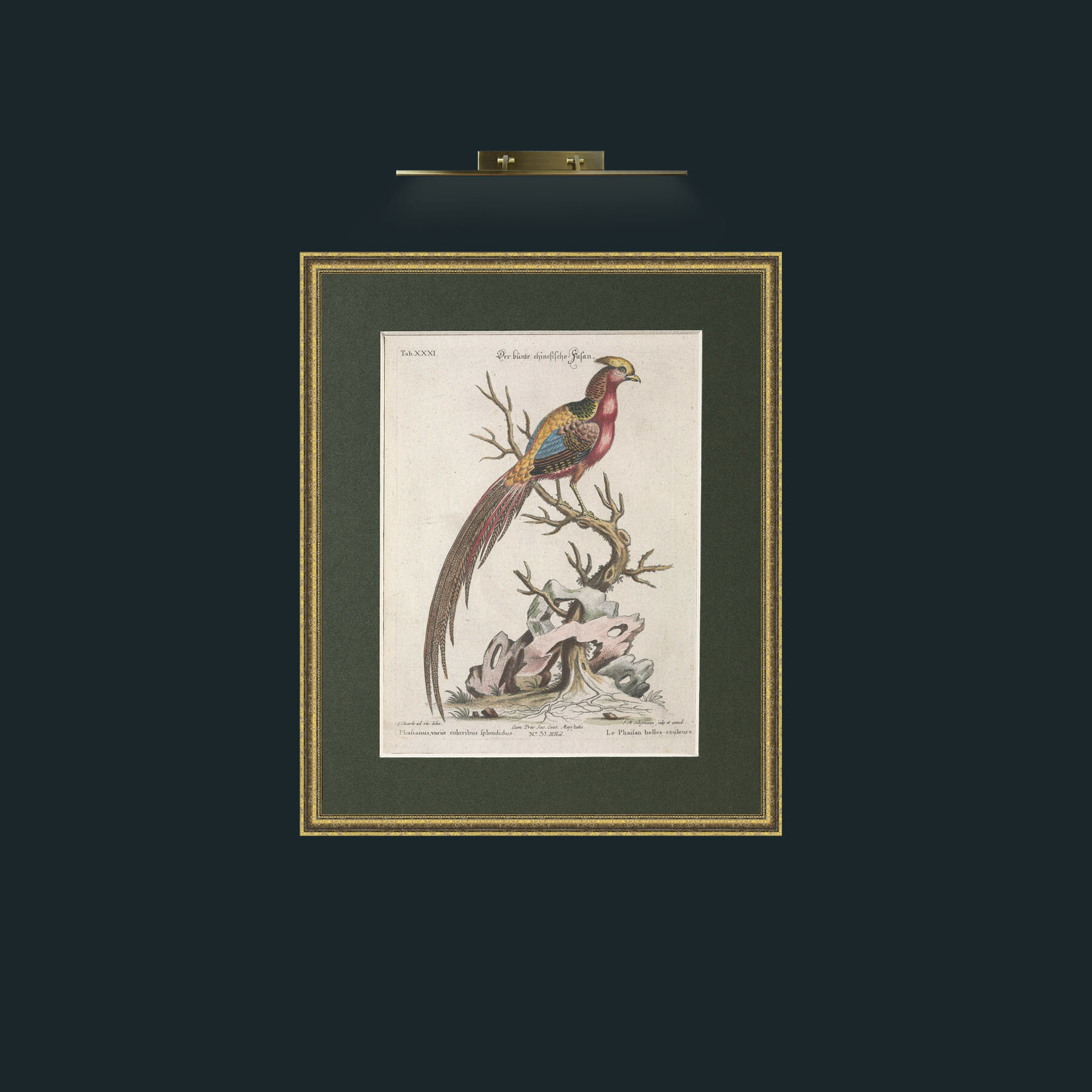 Art-Golden Pheasant-Frame-1GiltTextured-Mount-2Green.jpg