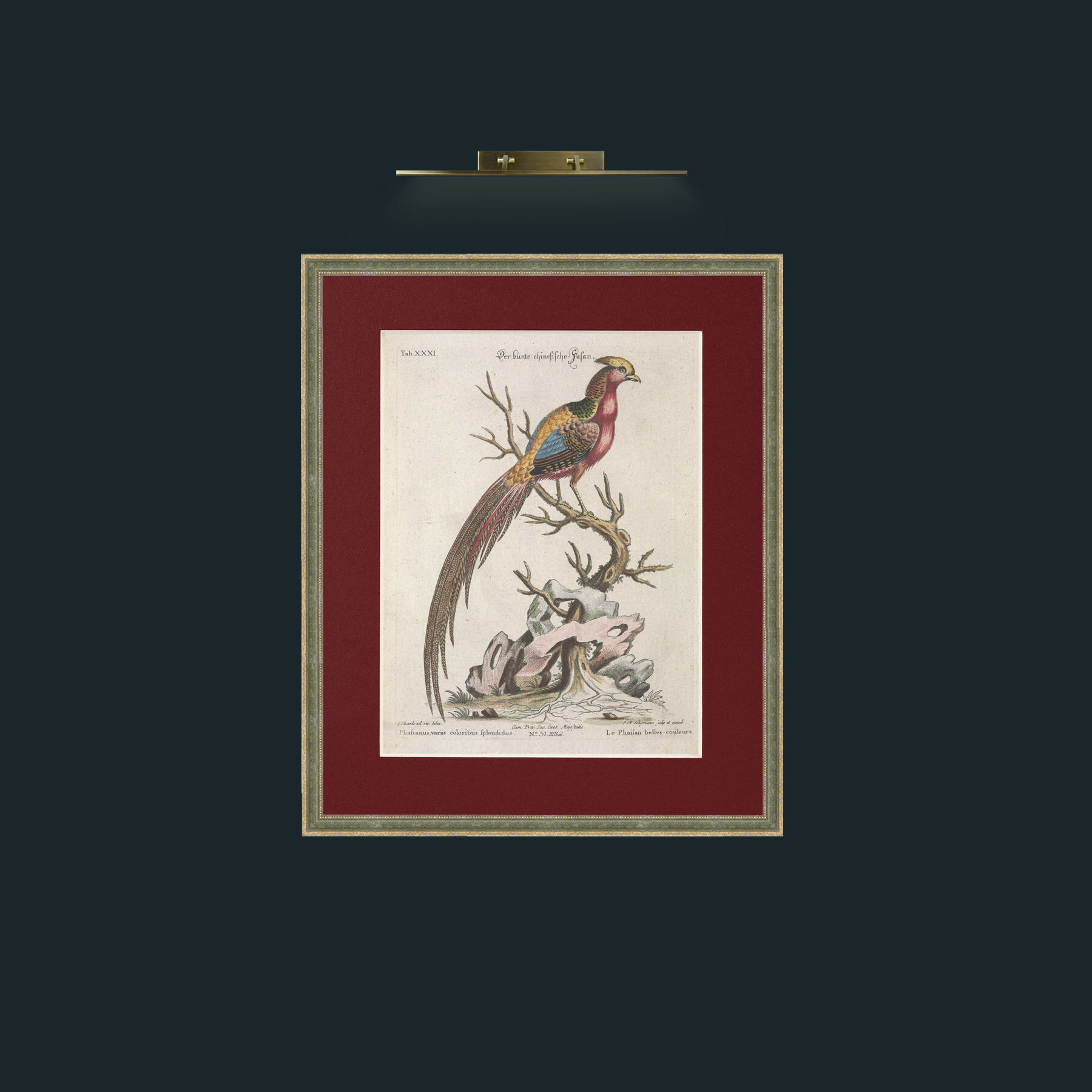 Art-Golden Pheasant-Frame-2GreenGilttextured-Mount-4Red.jpg