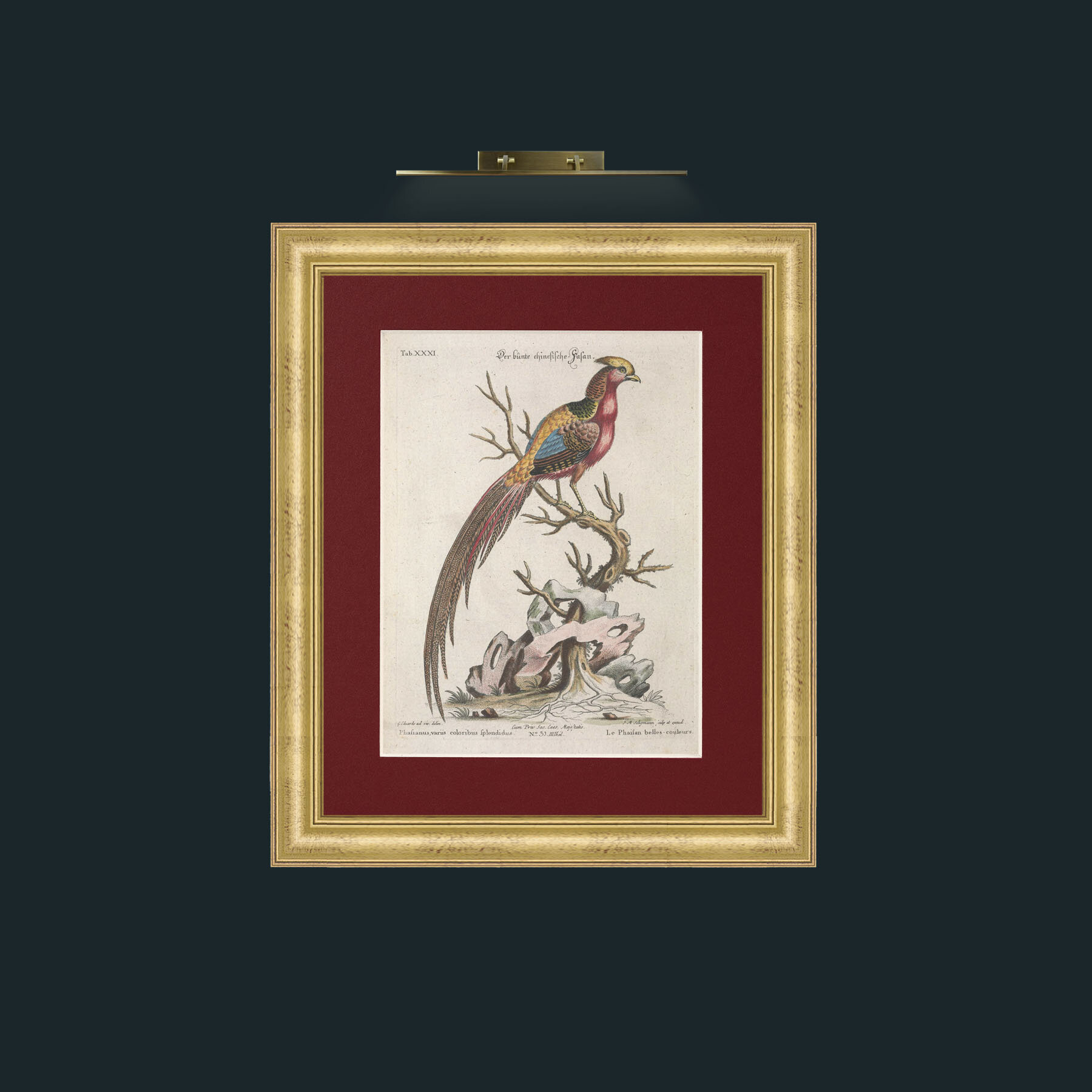 Art-Golden Pheasant-Frame-9WideGilt-Mount-4Red.jpg