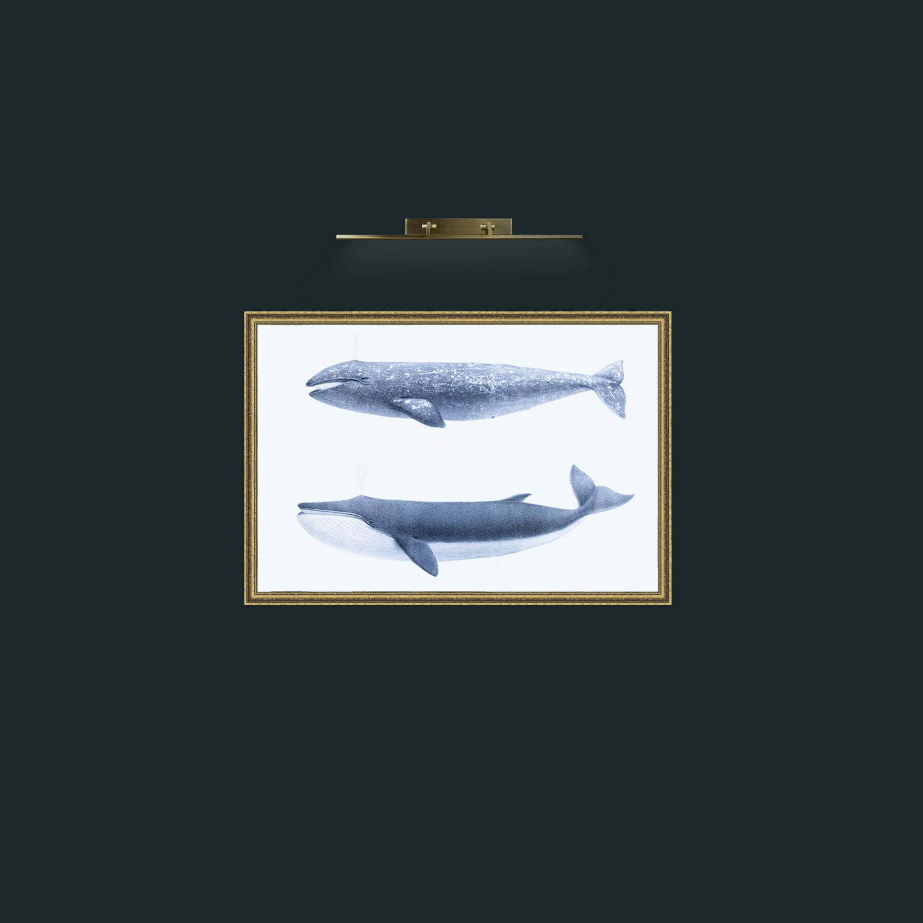 Art-California Gray Whale and Finback Whale-Frame-1GiltTextured.jpg