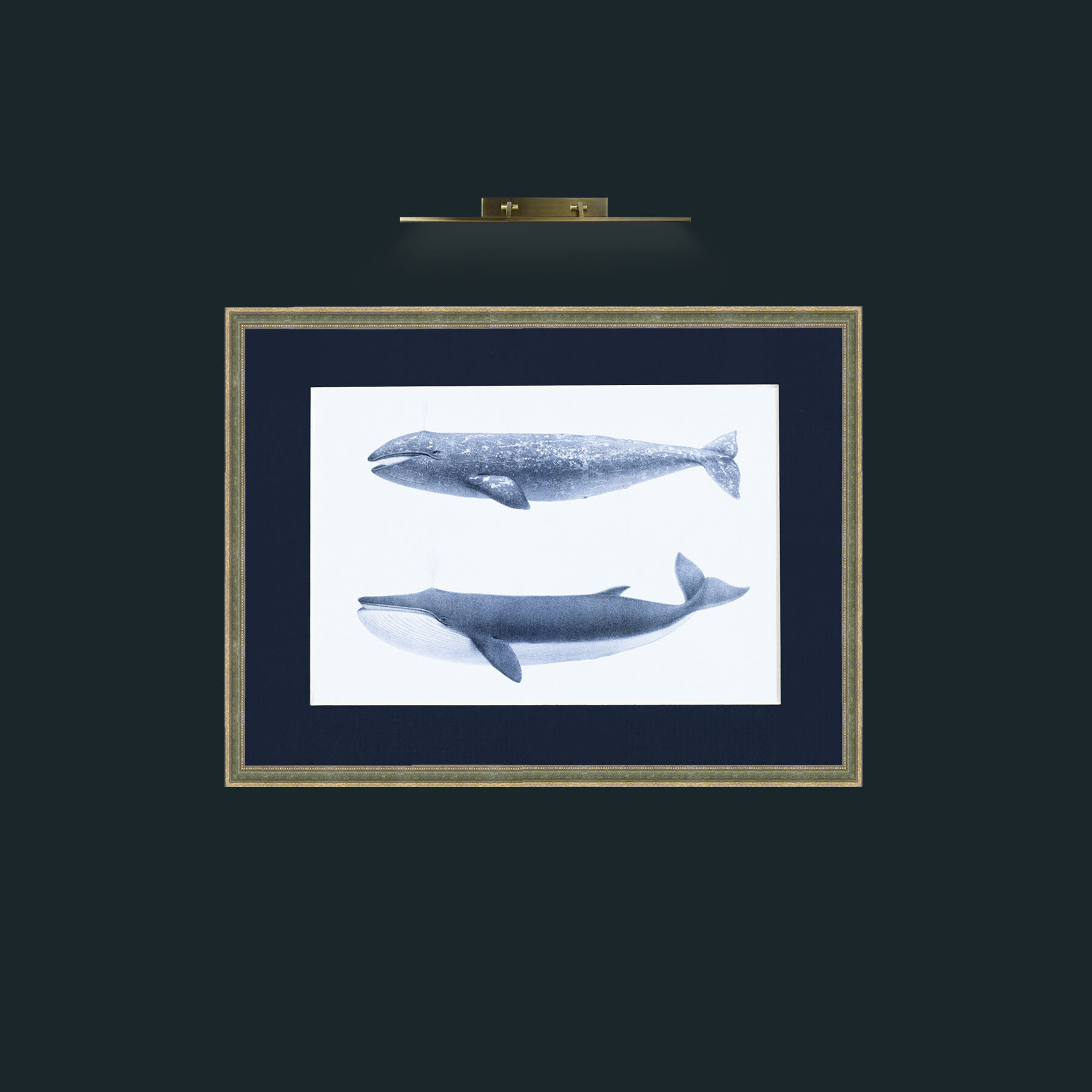 Art-California Gray Whale and Finback Whale-Frame-2GreenGiltTextured-Mount-3Blue.jpg