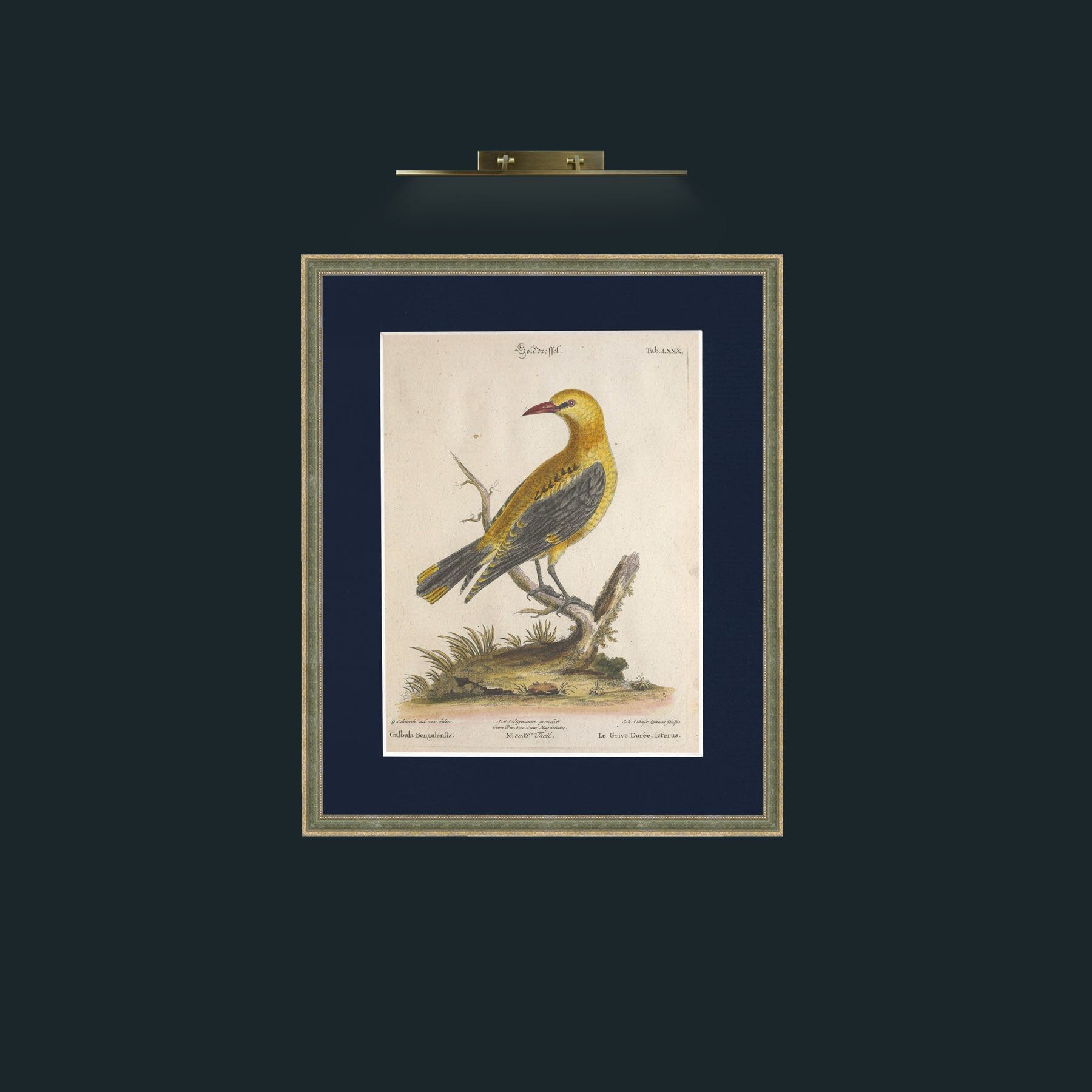 Art-Golden Thrush-Frame-2GreenGilttextured-Mount-3Blue.jpg