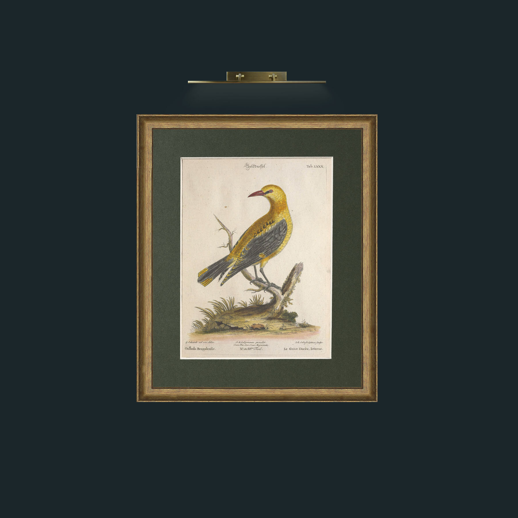 Art-Golden Thrush-Frame-8RedGreenGilt-Mount-2Green.jpg