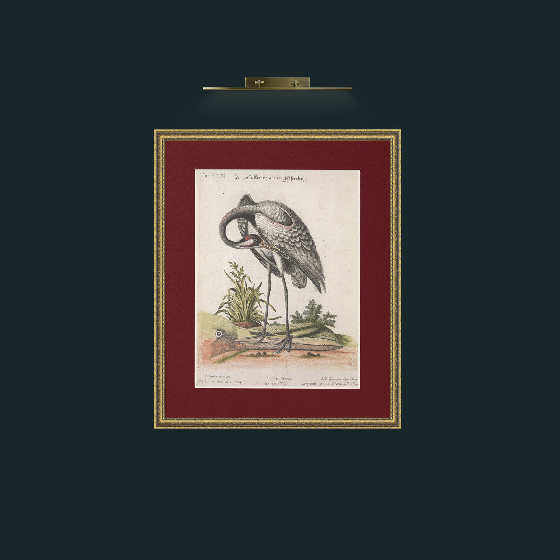 Art-Great Crane-Frame-1GiltTextured-Mount-4Red.jpg