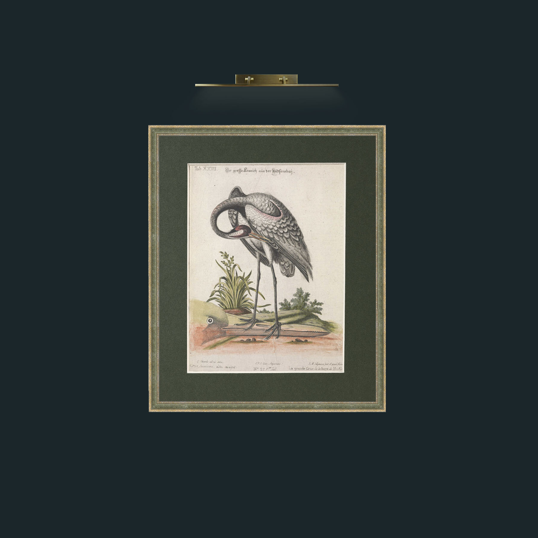 Art-Great Crane-Frame-2GreenGilttextured-Mount-2Green.jpg