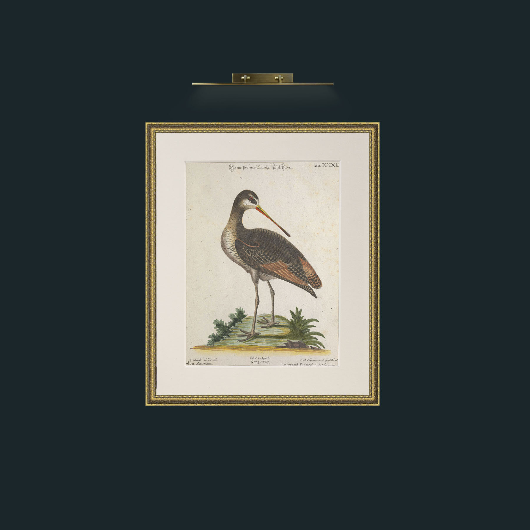 Art-Great Francoline-Frame-1GiltTextured-Mount-1Antique.jpg