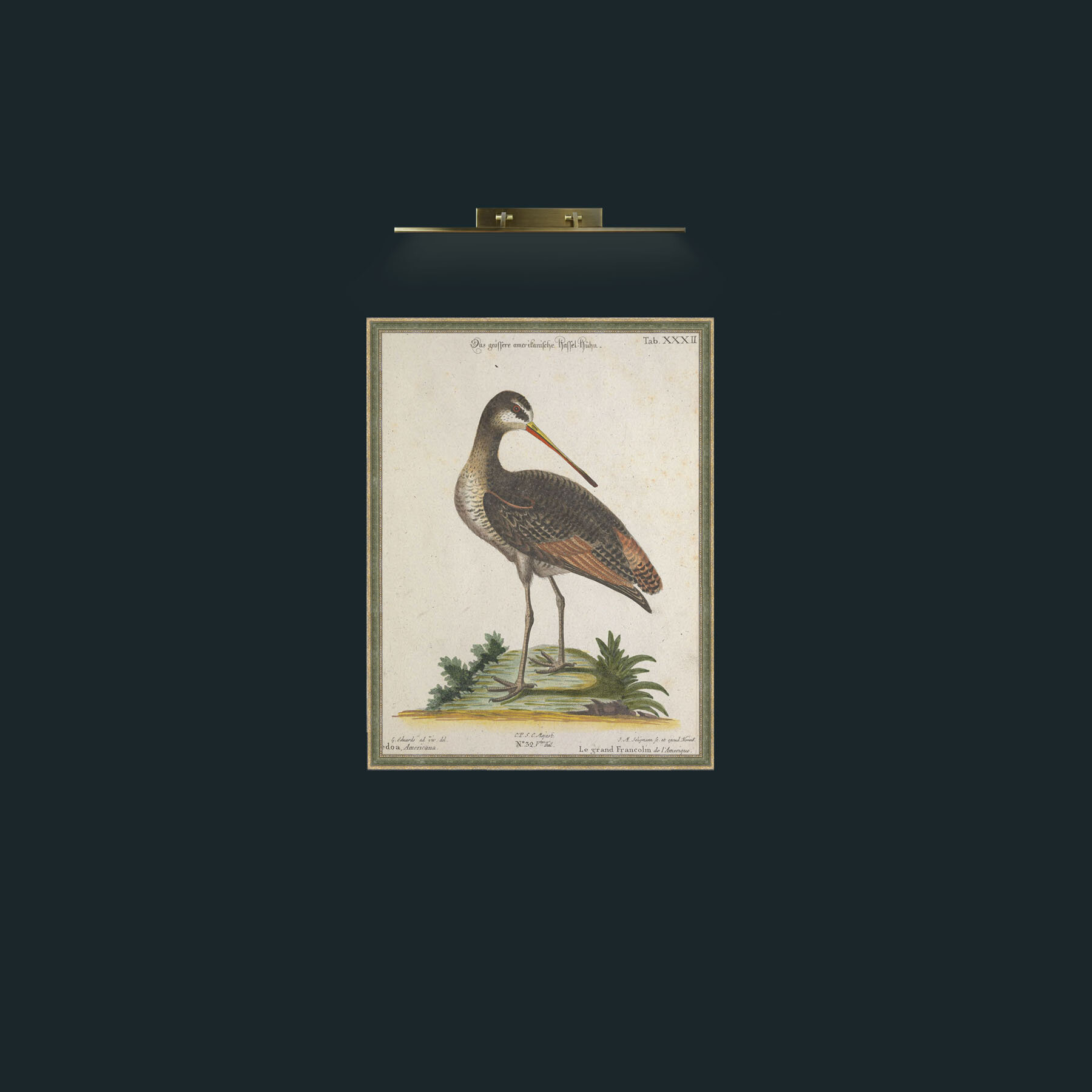 Art-Great Francoline-Frame-2GreenGiltTextured.jpg