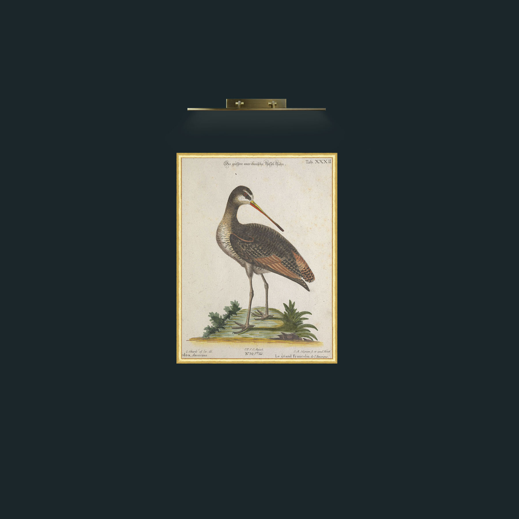Art-Great Francoline-Frame-3RoundedGilt.jpg