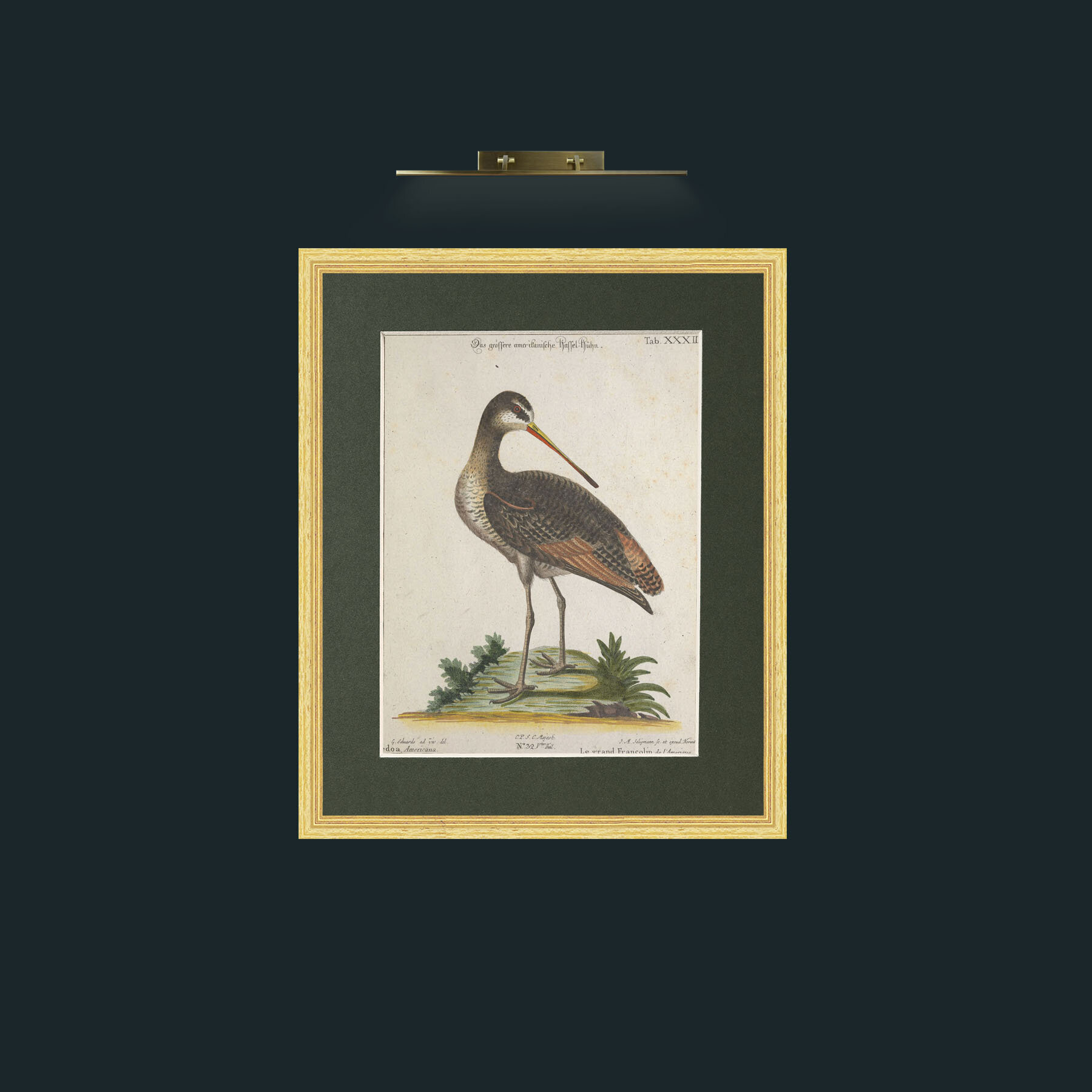 Art-Great Francoline-Frame-4BevelledGilt-Mount-2Green.jpg