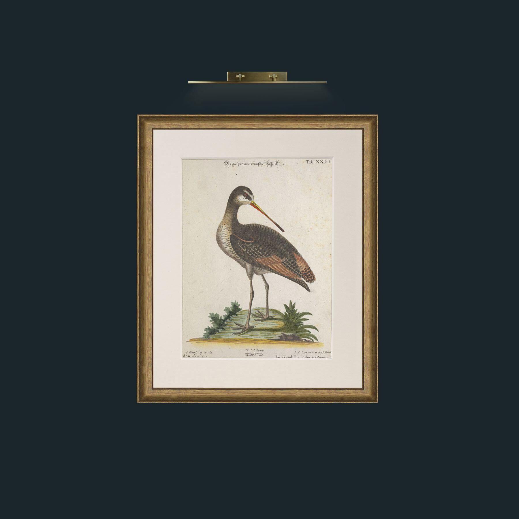 Art-Great Francoline-Frame-8RedGreenGilt-Mount-1Antique.jpg