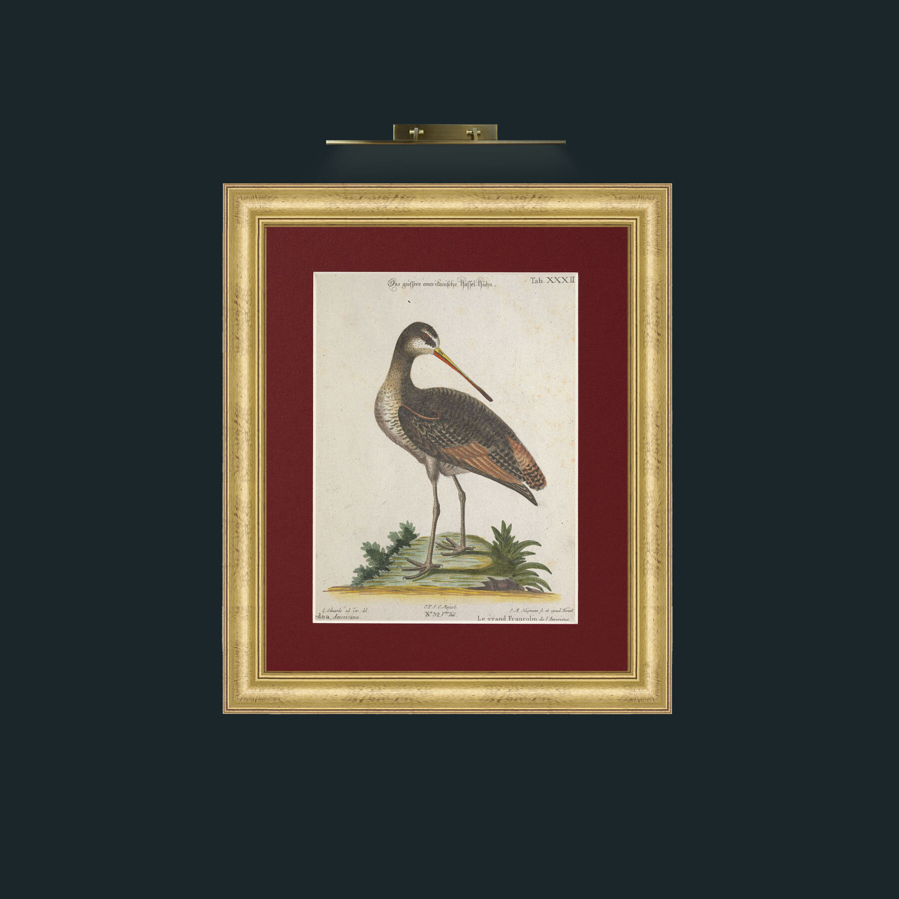 Art-Great Francoline-Frame-9WideGilt-Mount-4Red.jpg