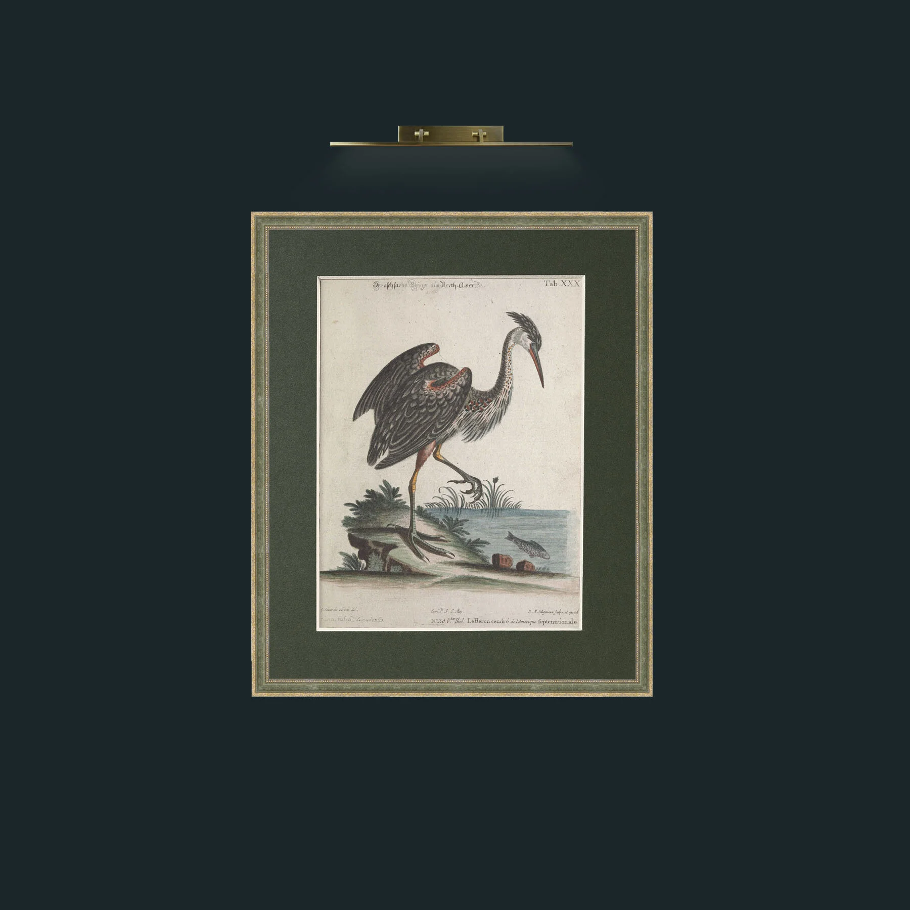 Art-Grey Heron-Frame-2GreenGilttextured-Mount-2Green.jpg