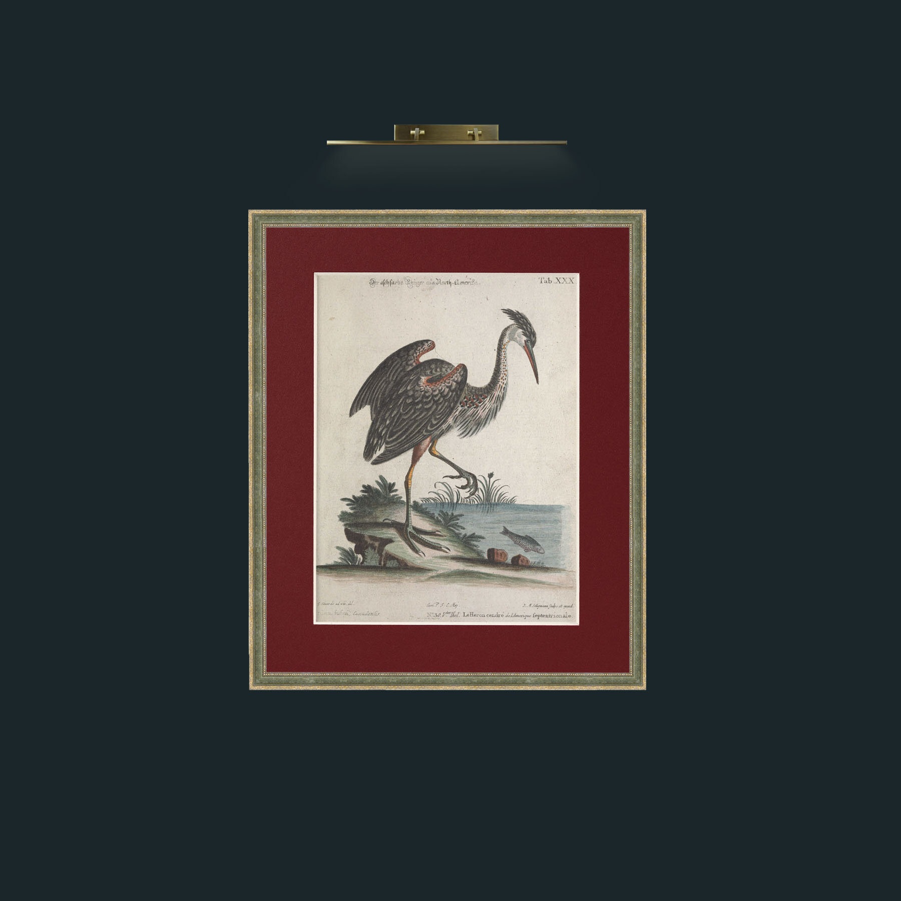 Art-Grey Heron-Frame-2GreenGilttextured-Mount-4Red.jpg