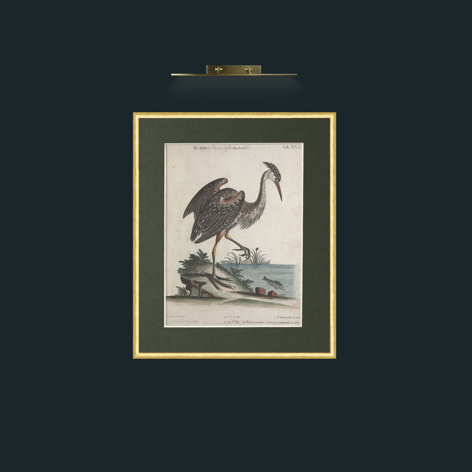 Art-Grey Heron-Frame-3RoundedGilt-Mount-2Green.jpg