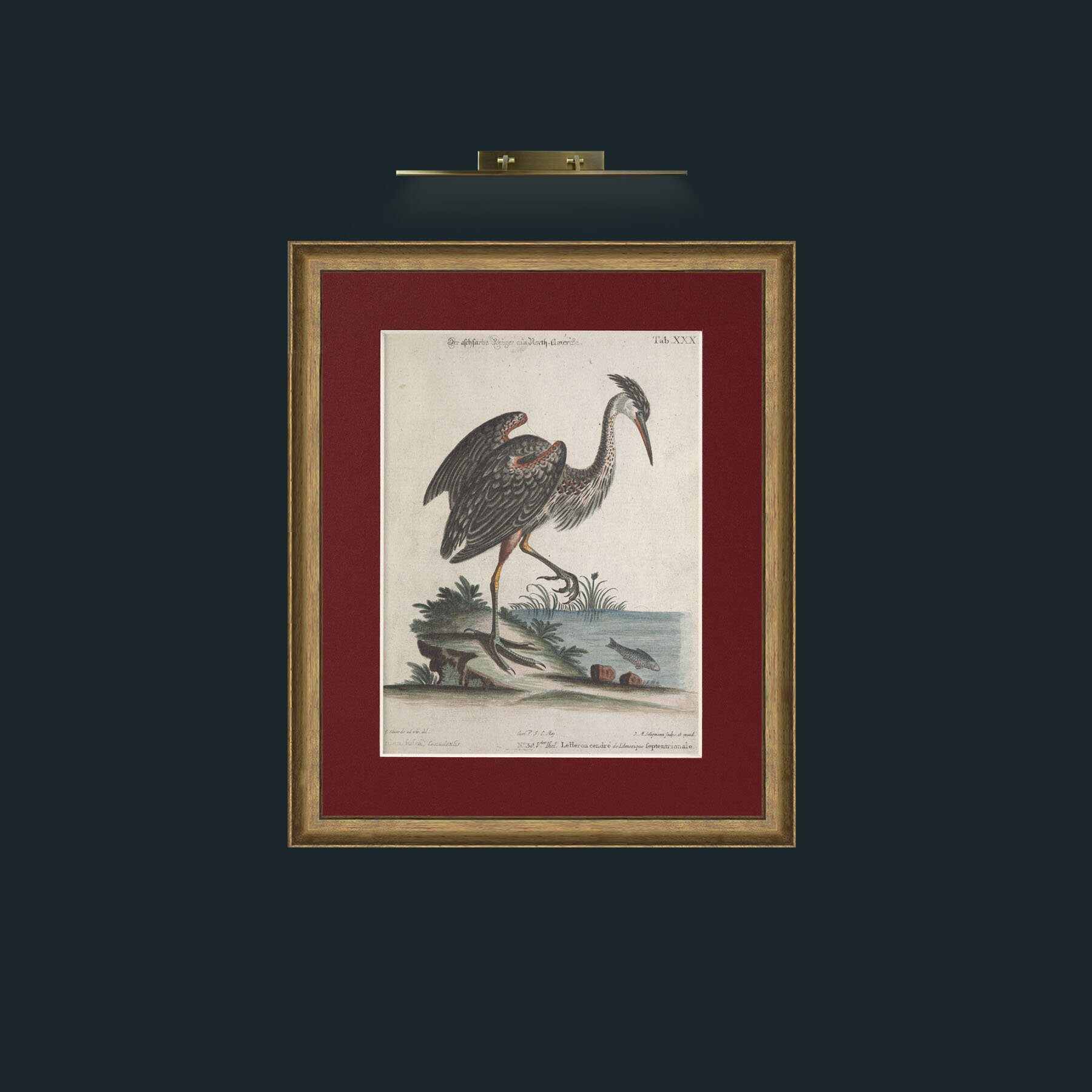 Art-Grey Heron-Frame-8RedGreenGilt-Mount-4Red.jpg