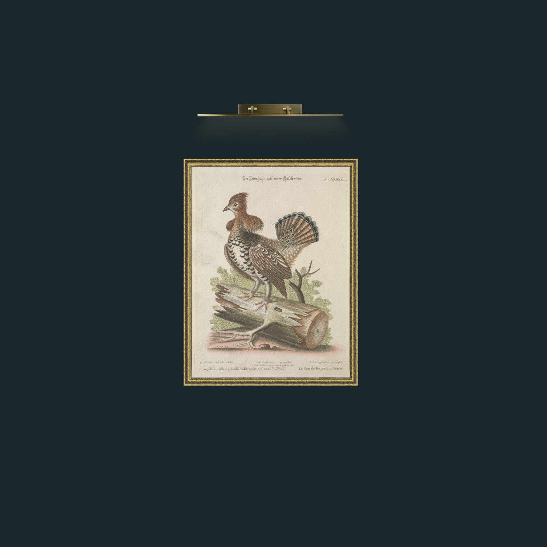 Art-Heather Rooster-Frame-1GiltTextured.jpg