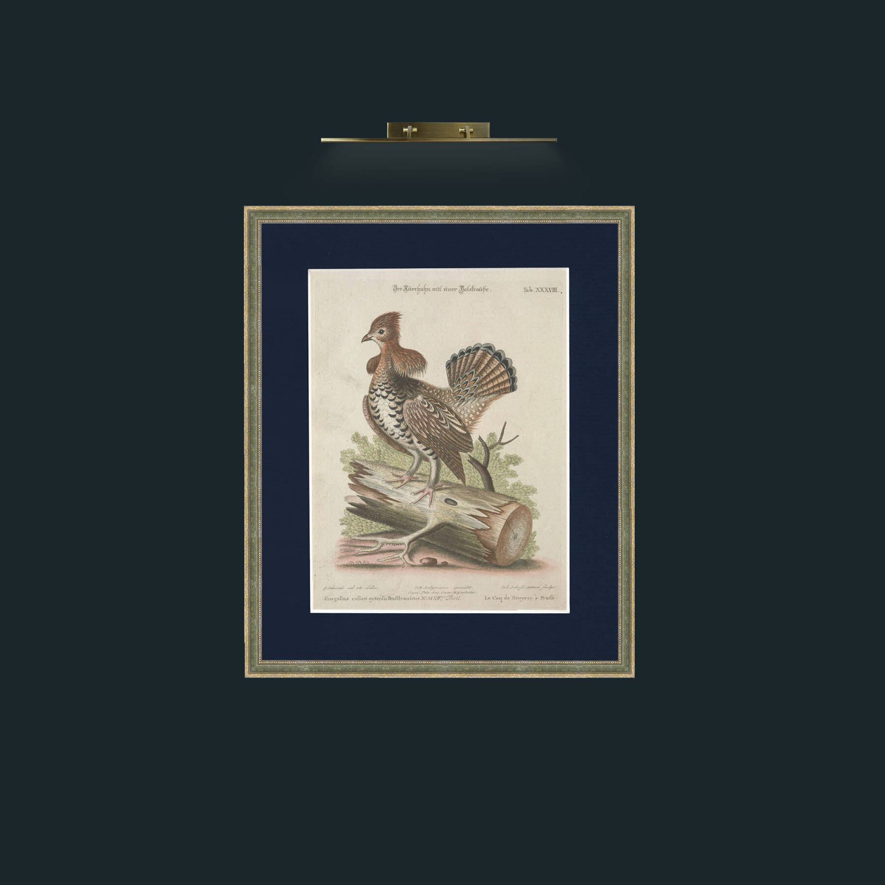 Art-Heather Rooster-Frame-2GreenGilttextured-Mount-3Blue.jpg