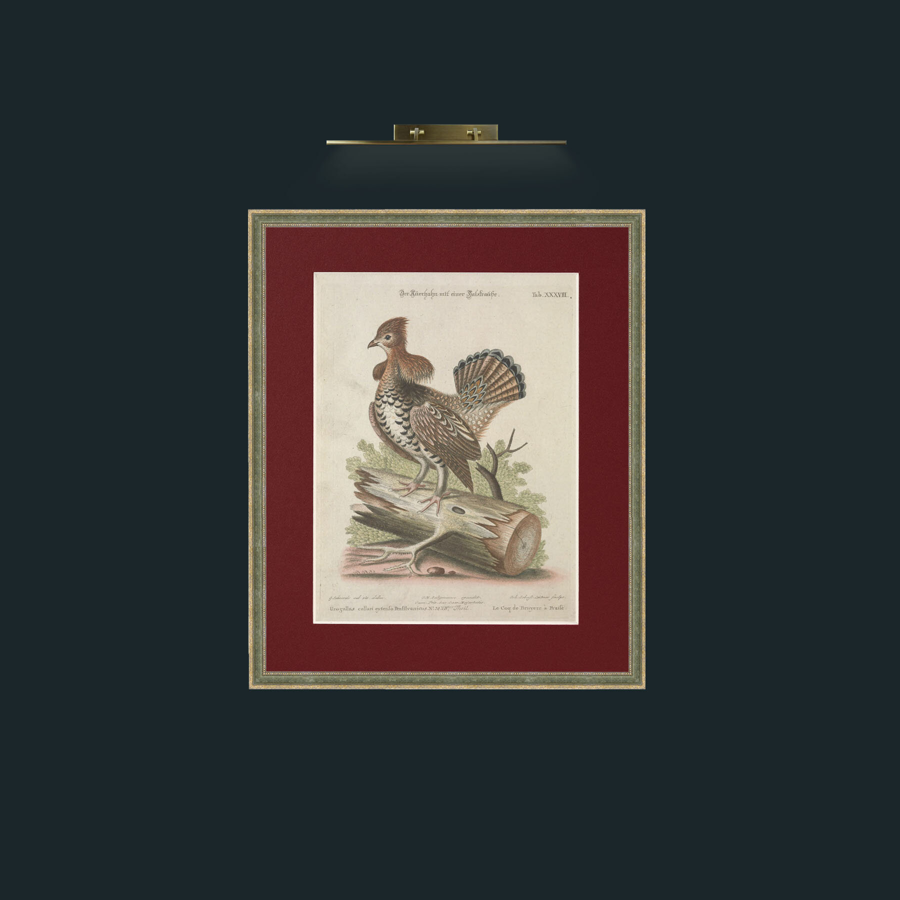 Art-Heather Rooster-Frame-2GreenGilttextured-Mount-4Red.jpg