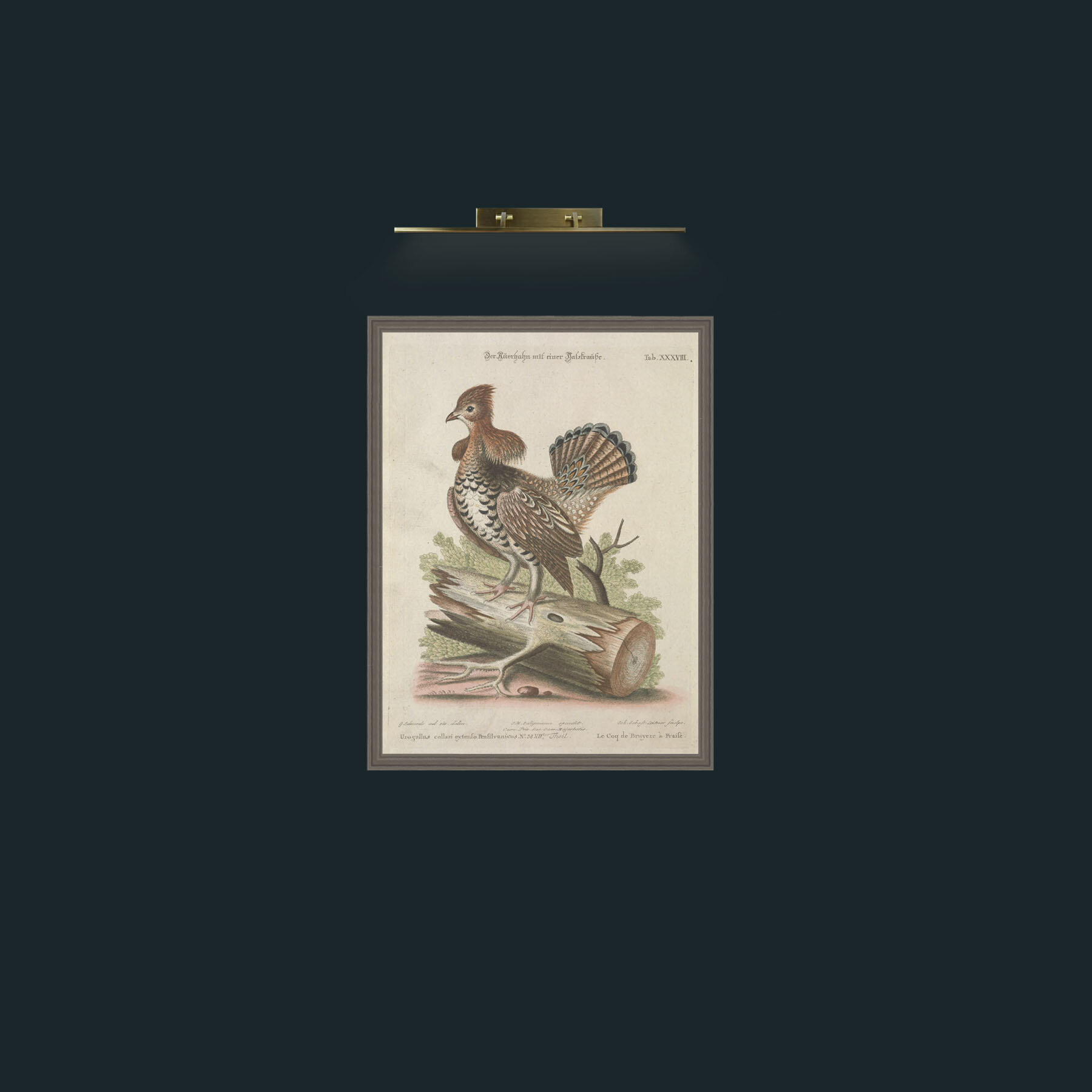 Art-Heather Rooster-Frame-6Grey.jpg