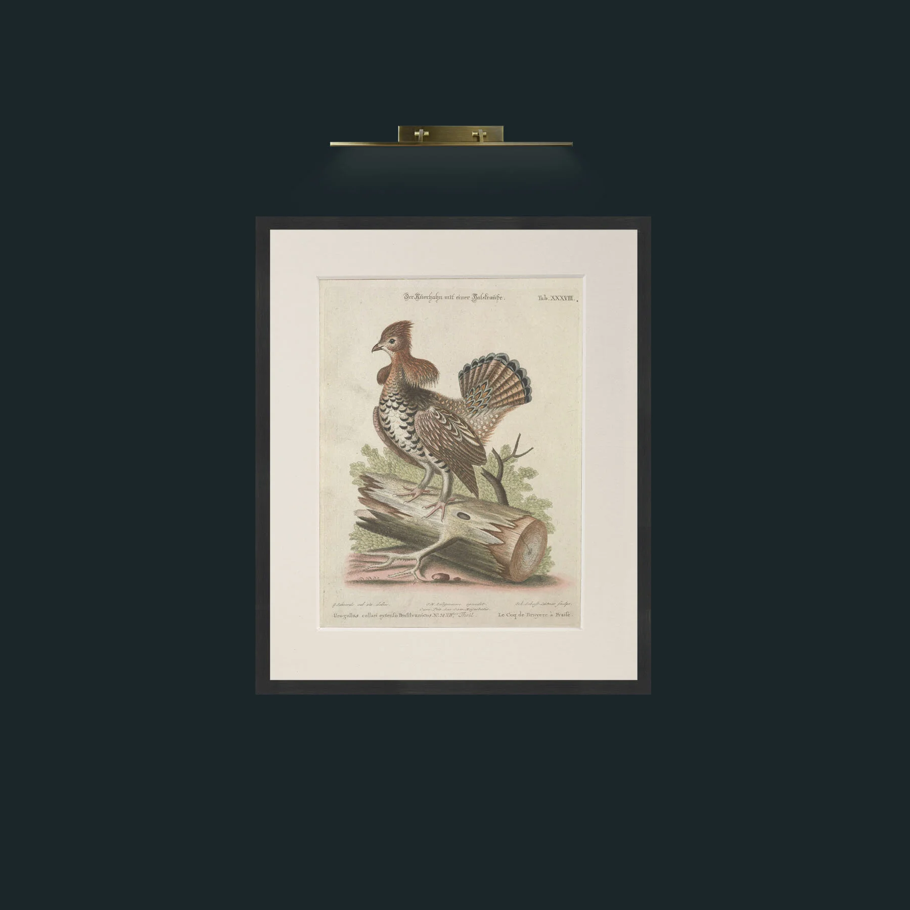 Art-Heather Rooster-Frame-7Black-Mount-1Antique.jpg