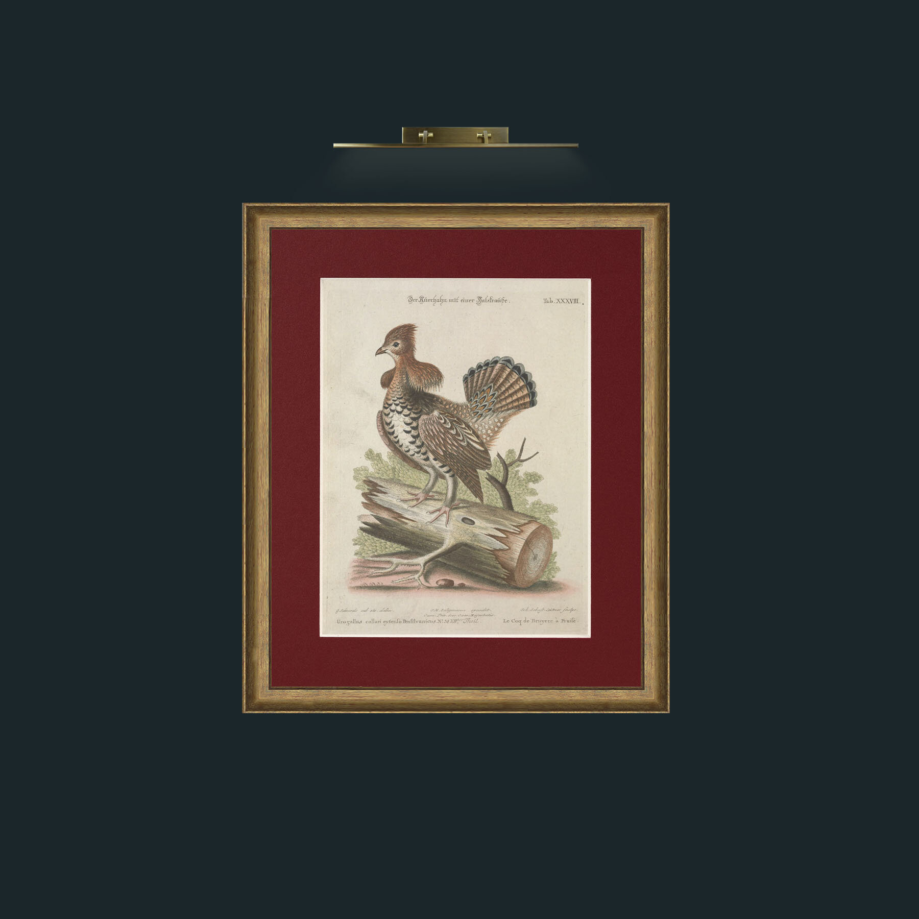 Art-Heather Rooster-Frame-8RedGreenGilt-Mount-4Red.jpg