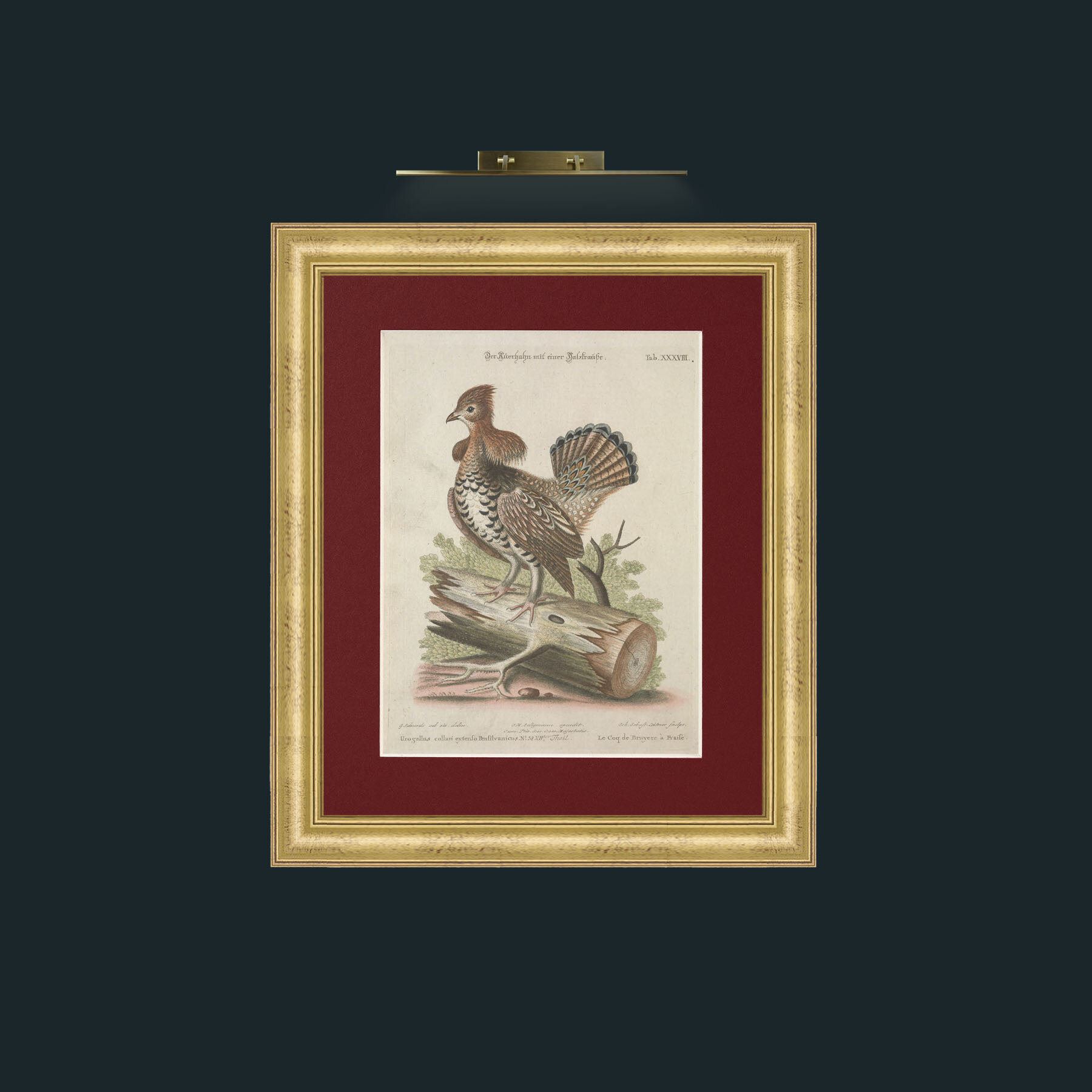 Art-Heather Rooster-Frame-9WideGilt-Mount-4Red.jpg