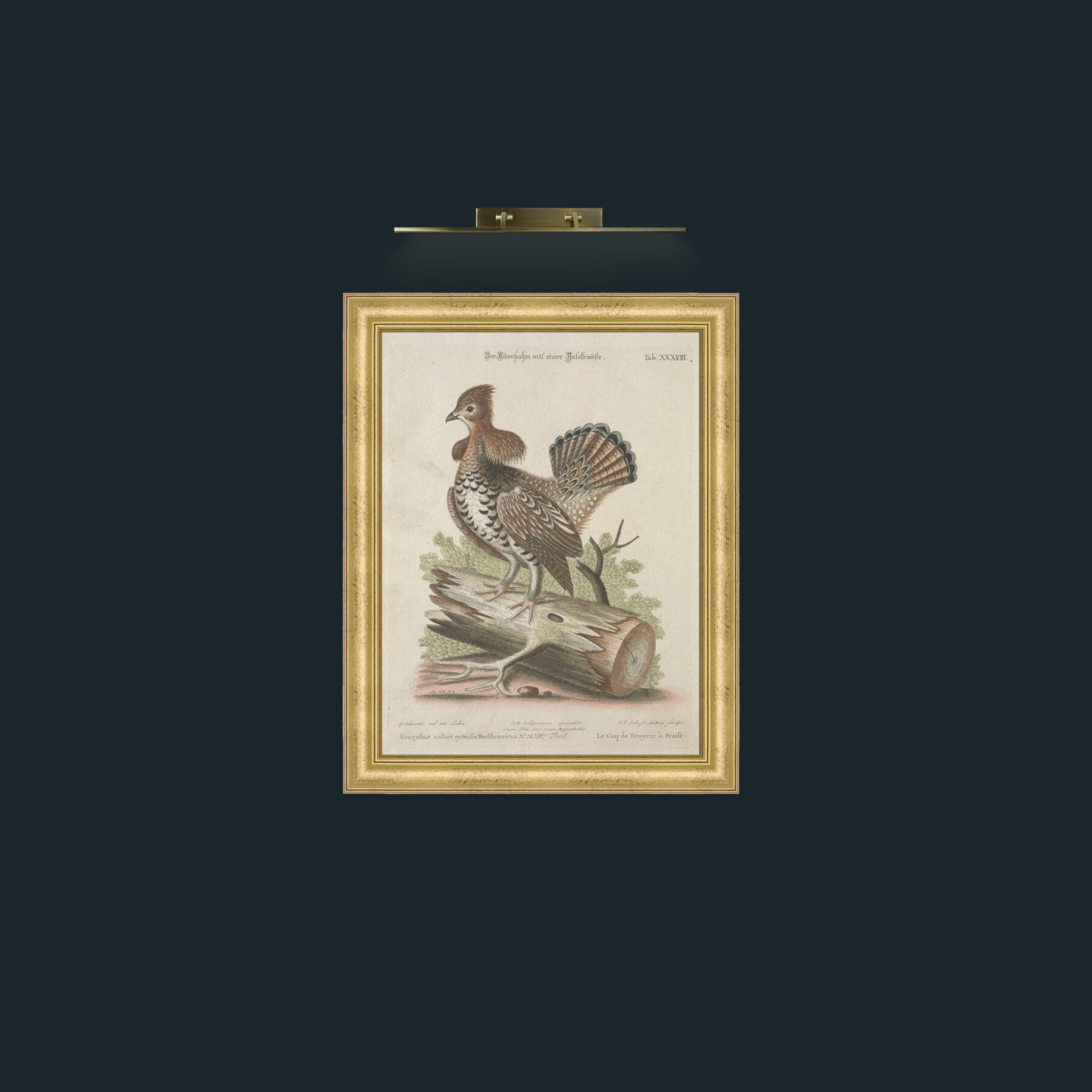 Art-Heather Rooster-Frame-9WideGilt.jpg