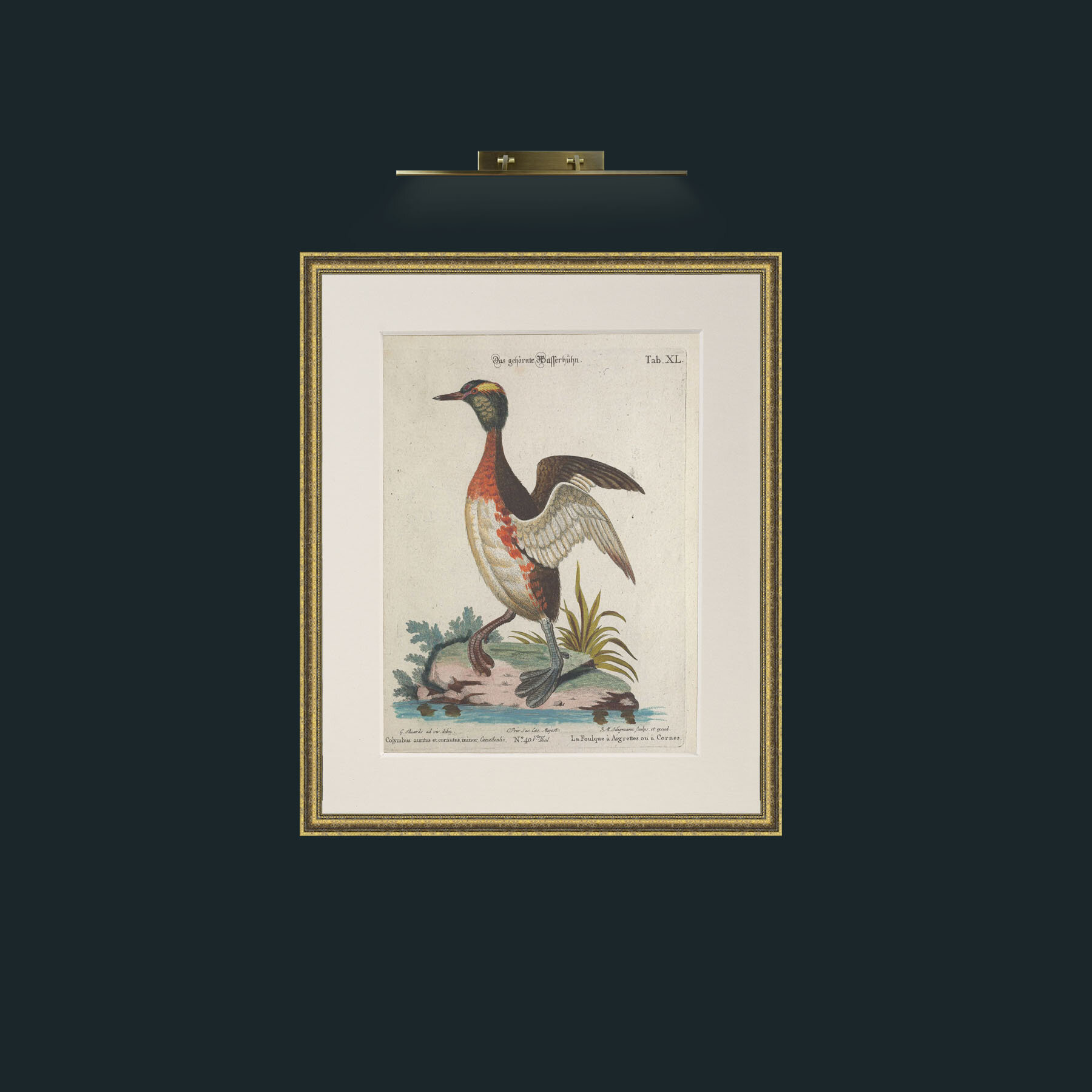 Art-Horned Coot-Frame-1GiltTextured-Mount-1Antique.jpg