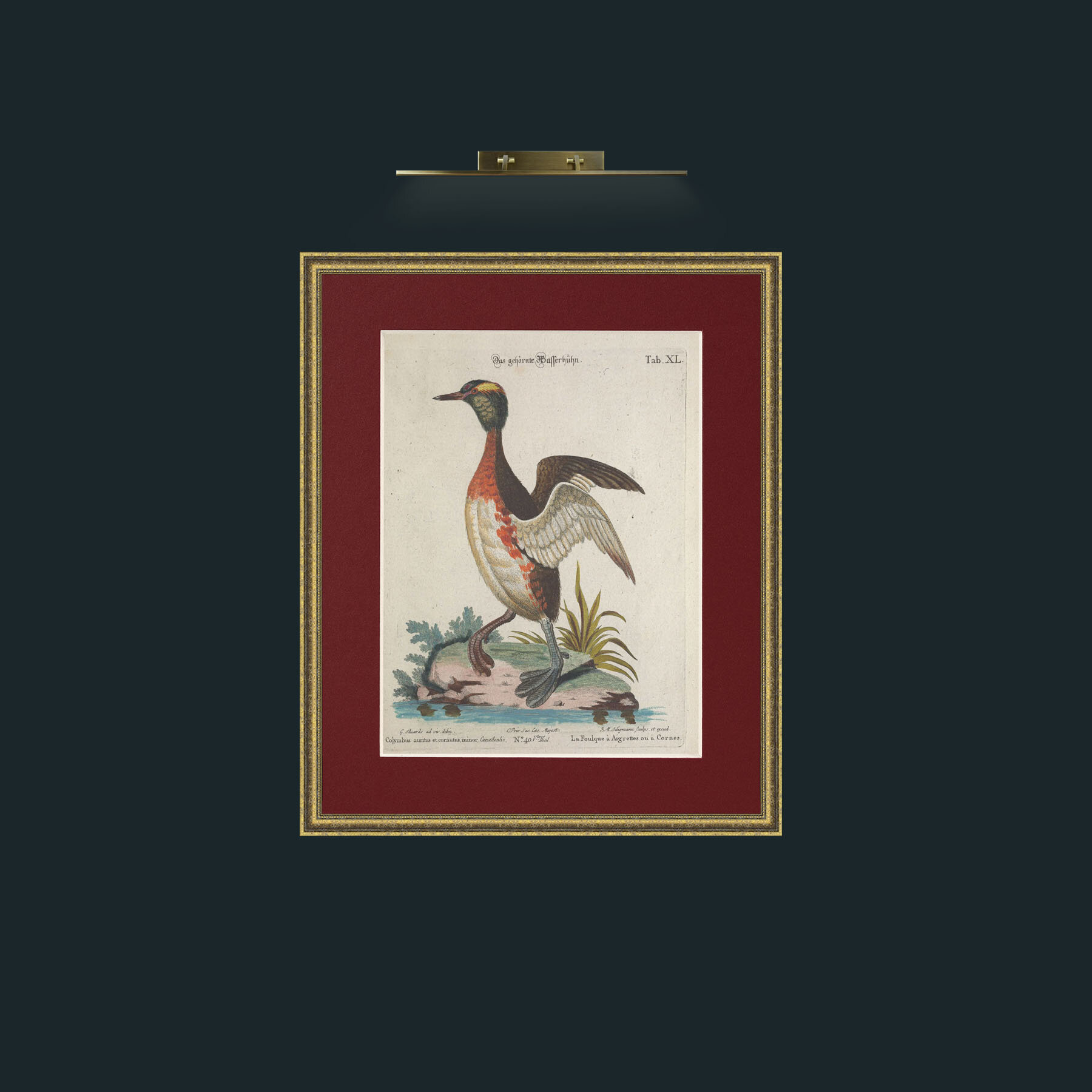Art-Horned Coot-Frame-1GiltTextured-Mount-4Red.jpg
