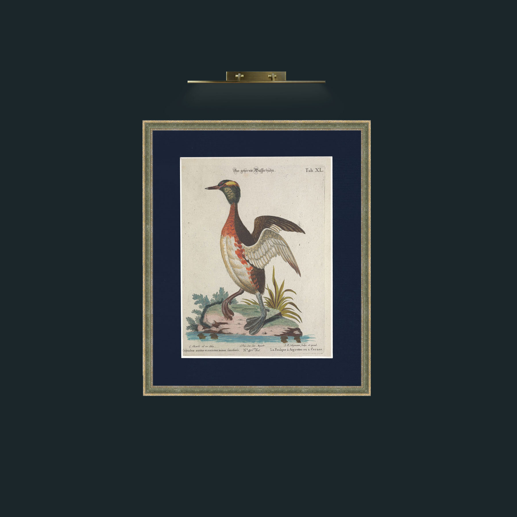 Art-Horned Coot-Frame-2GreenGilttextured-Mount-3Blue.jpg