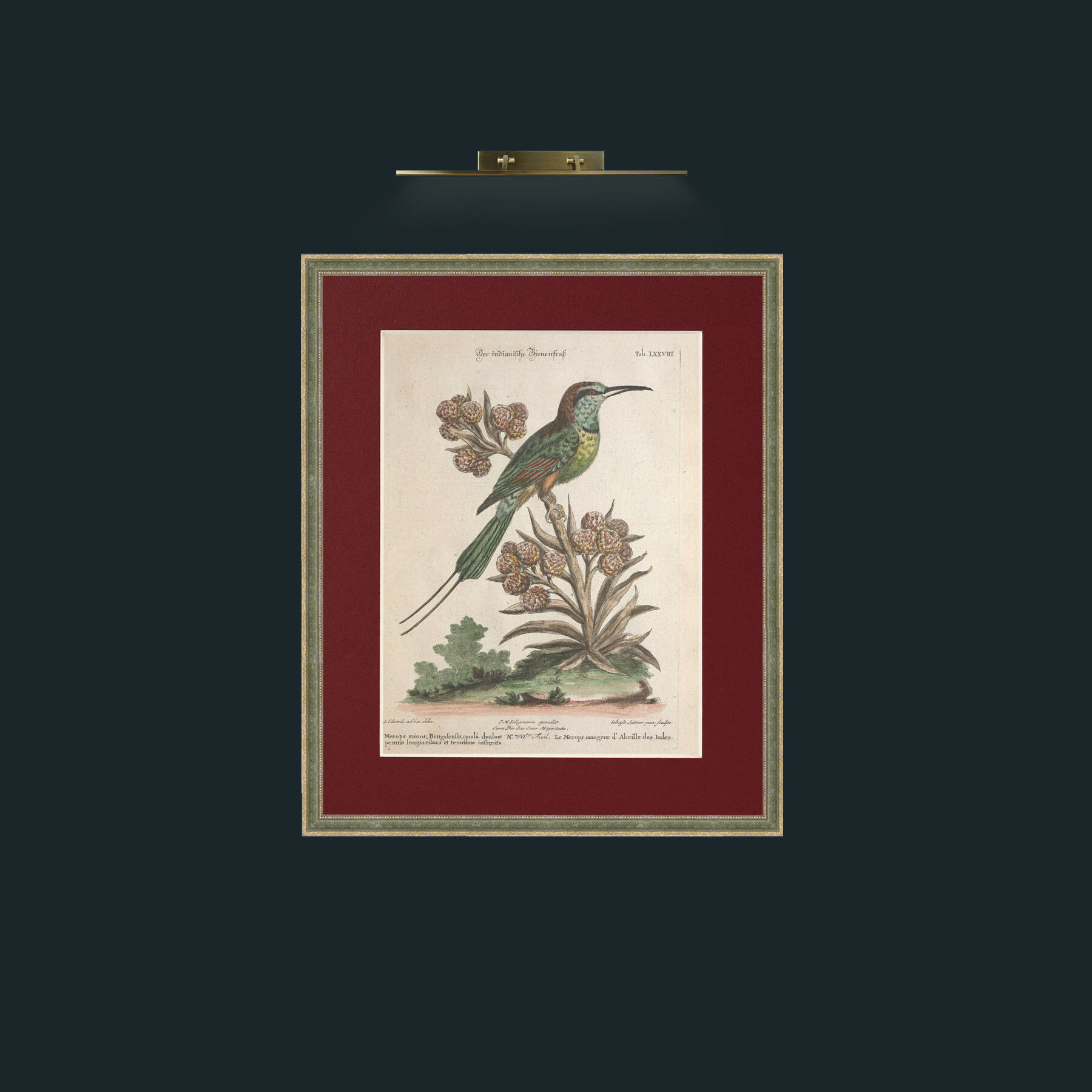 Art-Indian Bee Eater-Frame-2GreenGilttextured-Mount-4Red.jpg