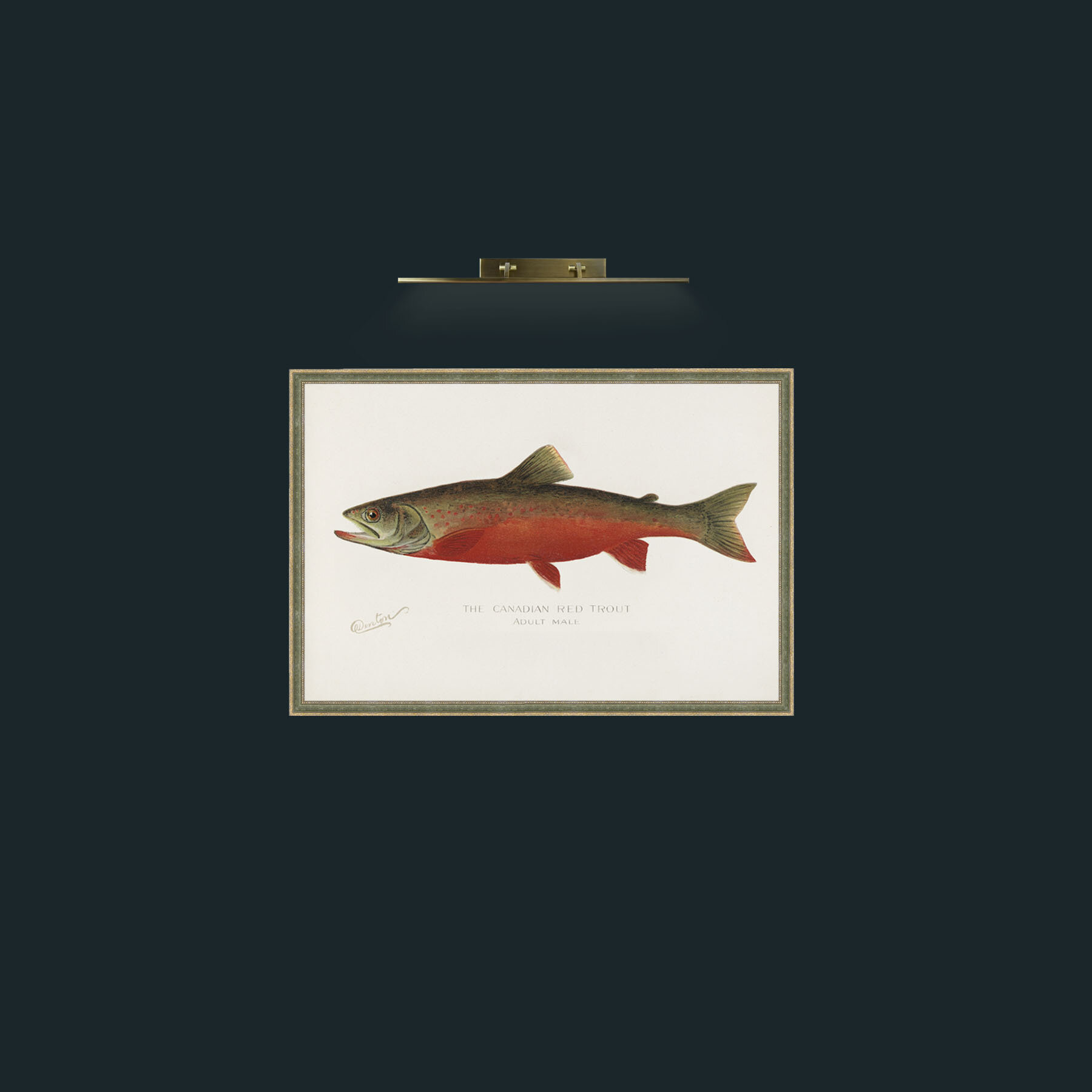 Art-Canadian Red Trout-Frame-2GreenGiltTextured.jpg